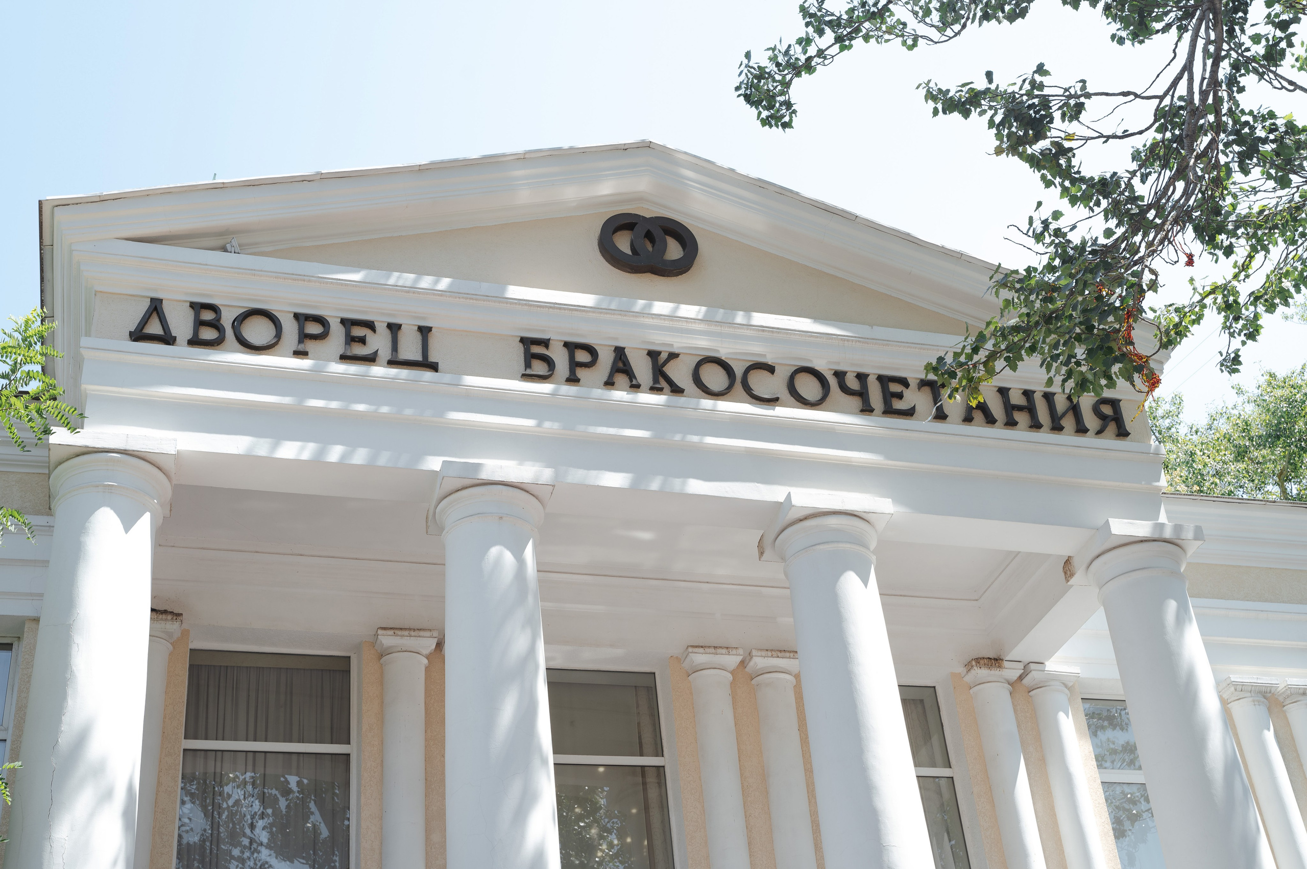 Саша и Таня. Фотограф Дарья Борисова в г. Новочеркасск и РО