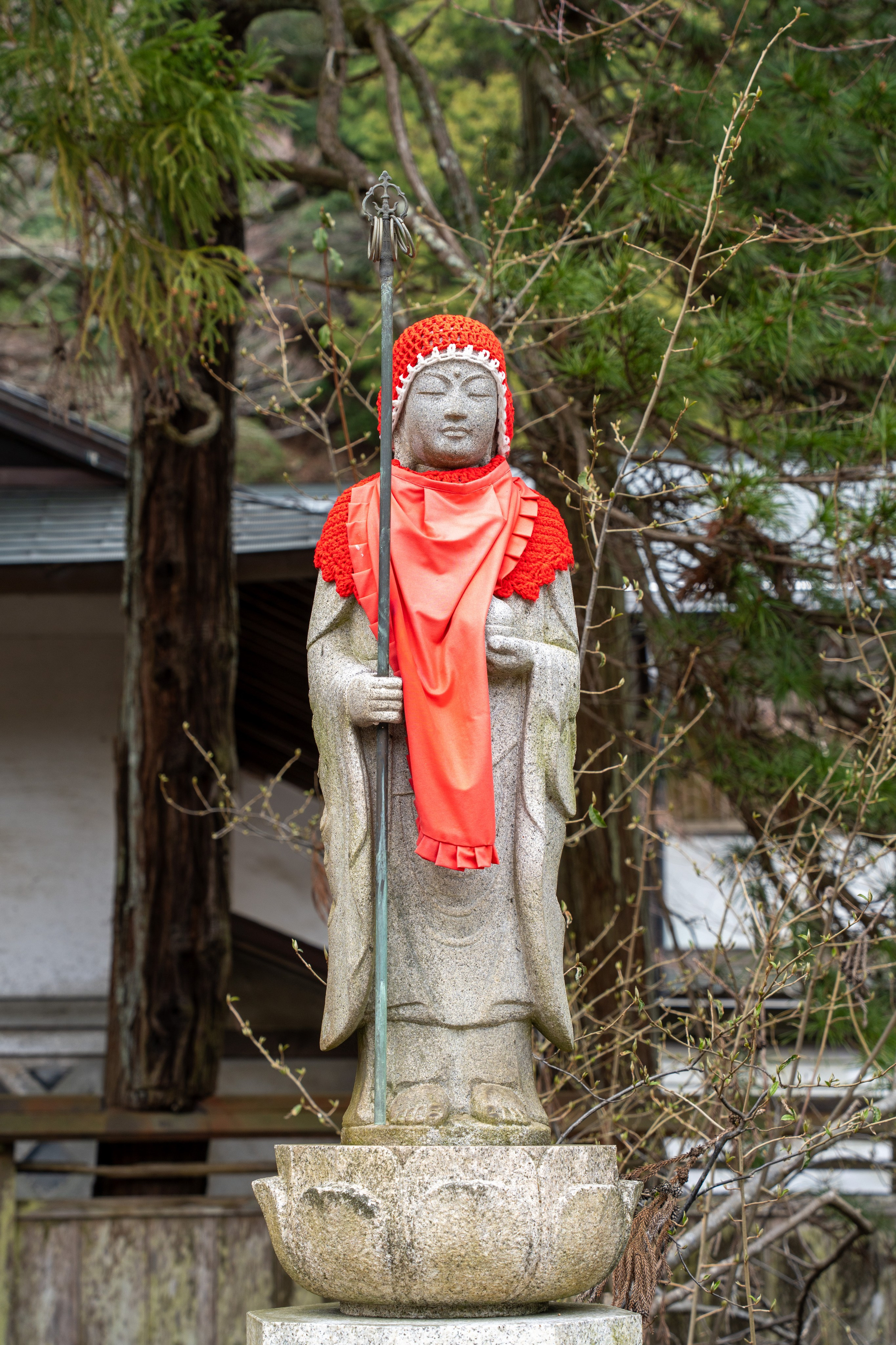 Япония, сакура. Творческие сьемки