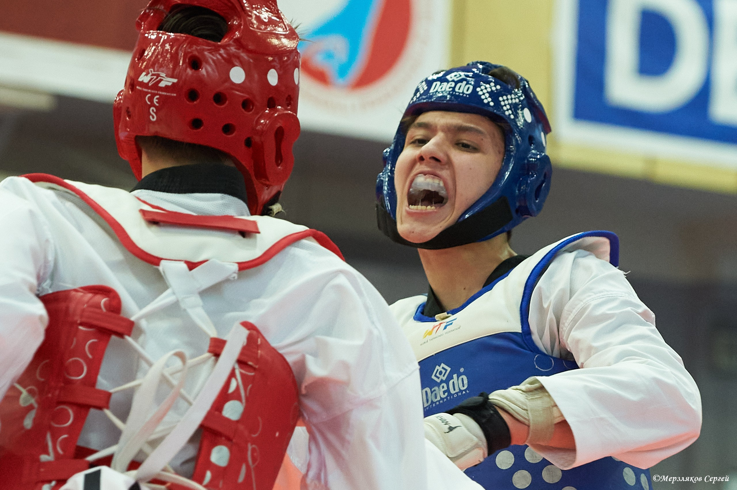 Тхэквондо. ПФО. Ижевск. 2023.02.12. Спортивный репортажный фотограф в Ижевске Сергей Мерзляков