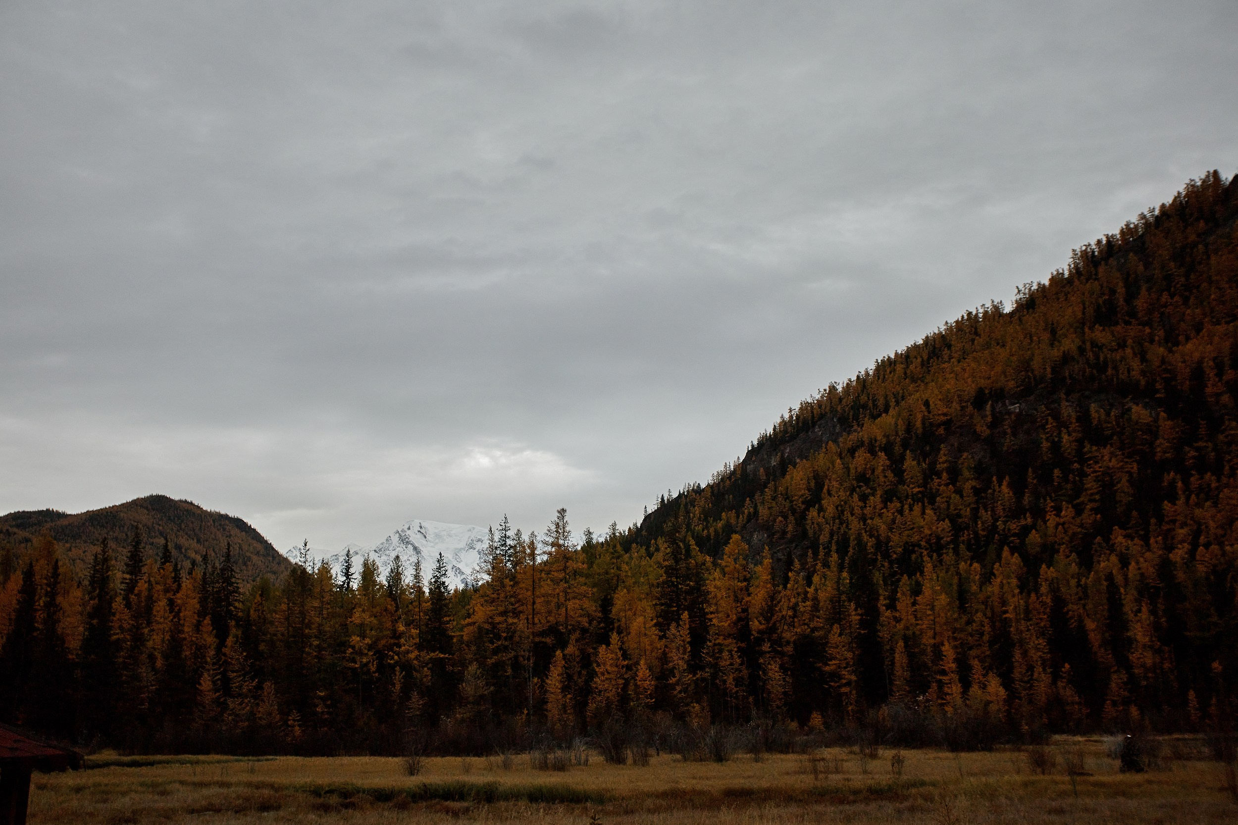 Алтай. Свадебный фотограф Челябинск, Екатеринбург, Курган — Виктор Слуднов