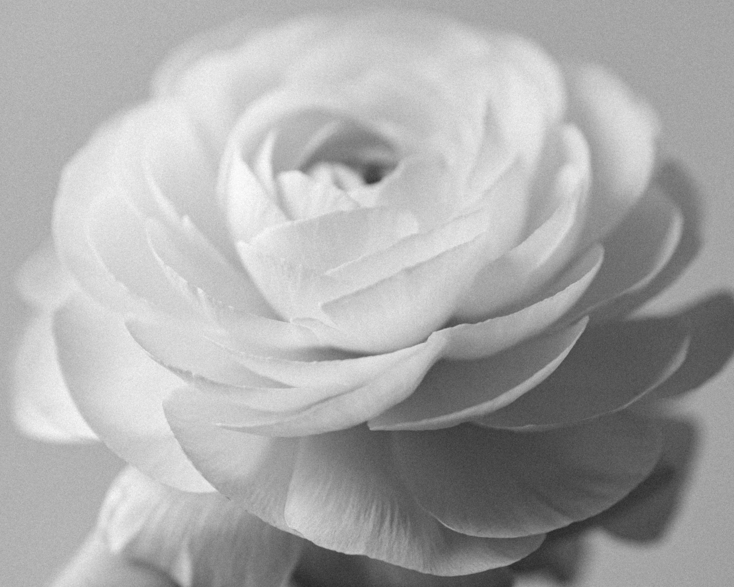 Айтадж. Портретный фотограф Дорошко Анастасия