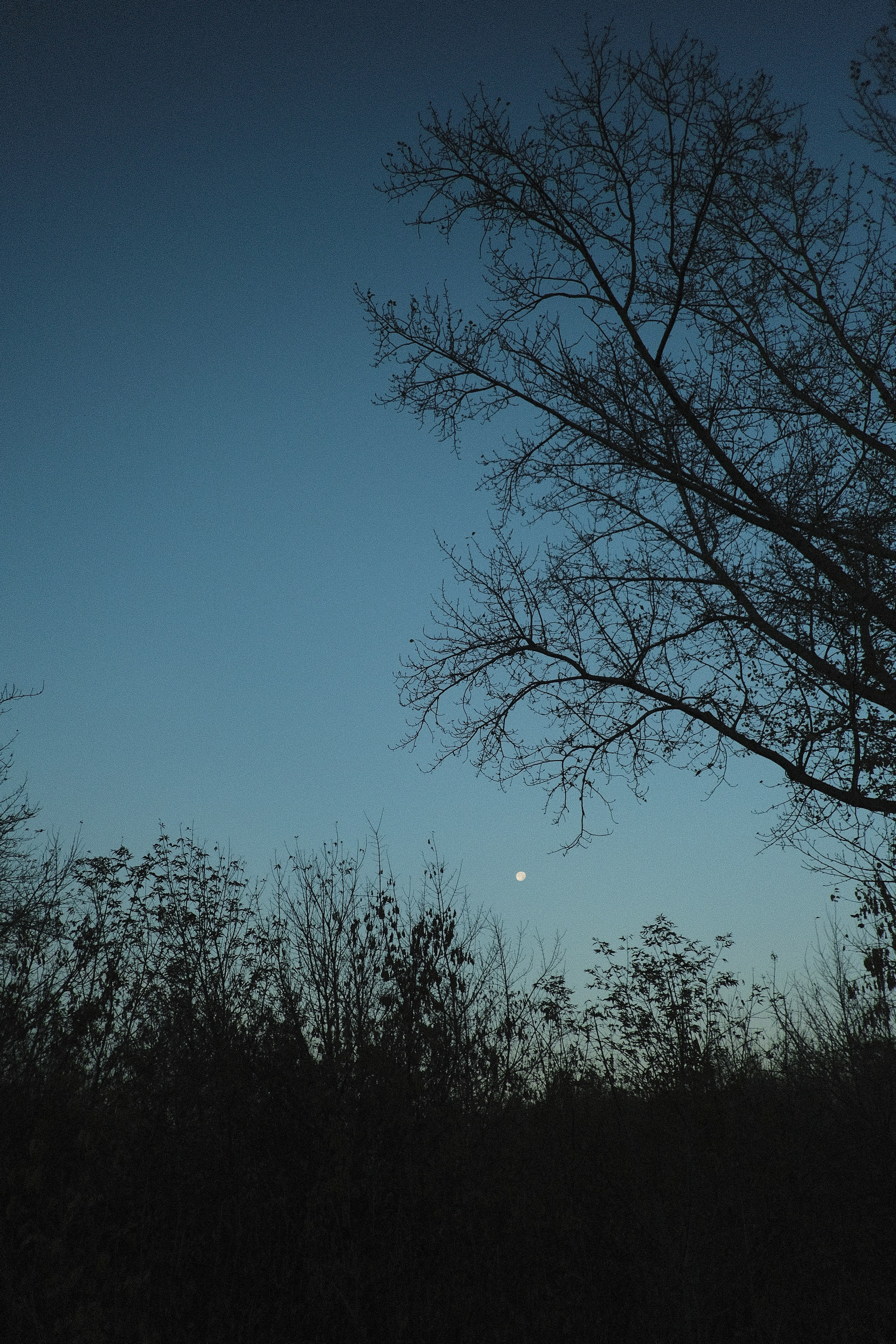 Наблюдения. Семейный фотограф в Новосибирске Артём Кузнецов