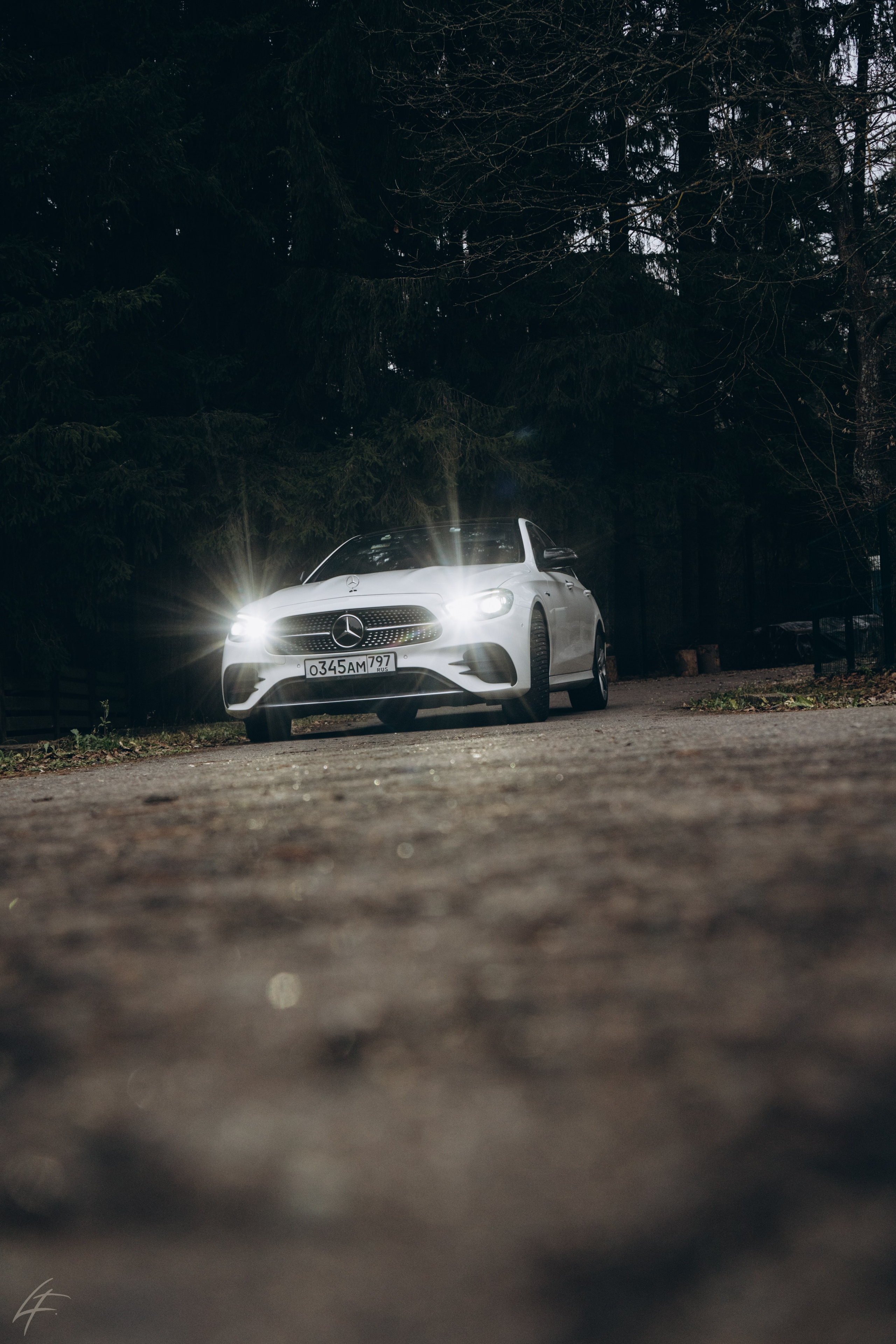 Mercedes-Benz E 350 фотосет Тульская область Заокский район Поленово Москва Серпухов фотограф Фирстова Лиза 