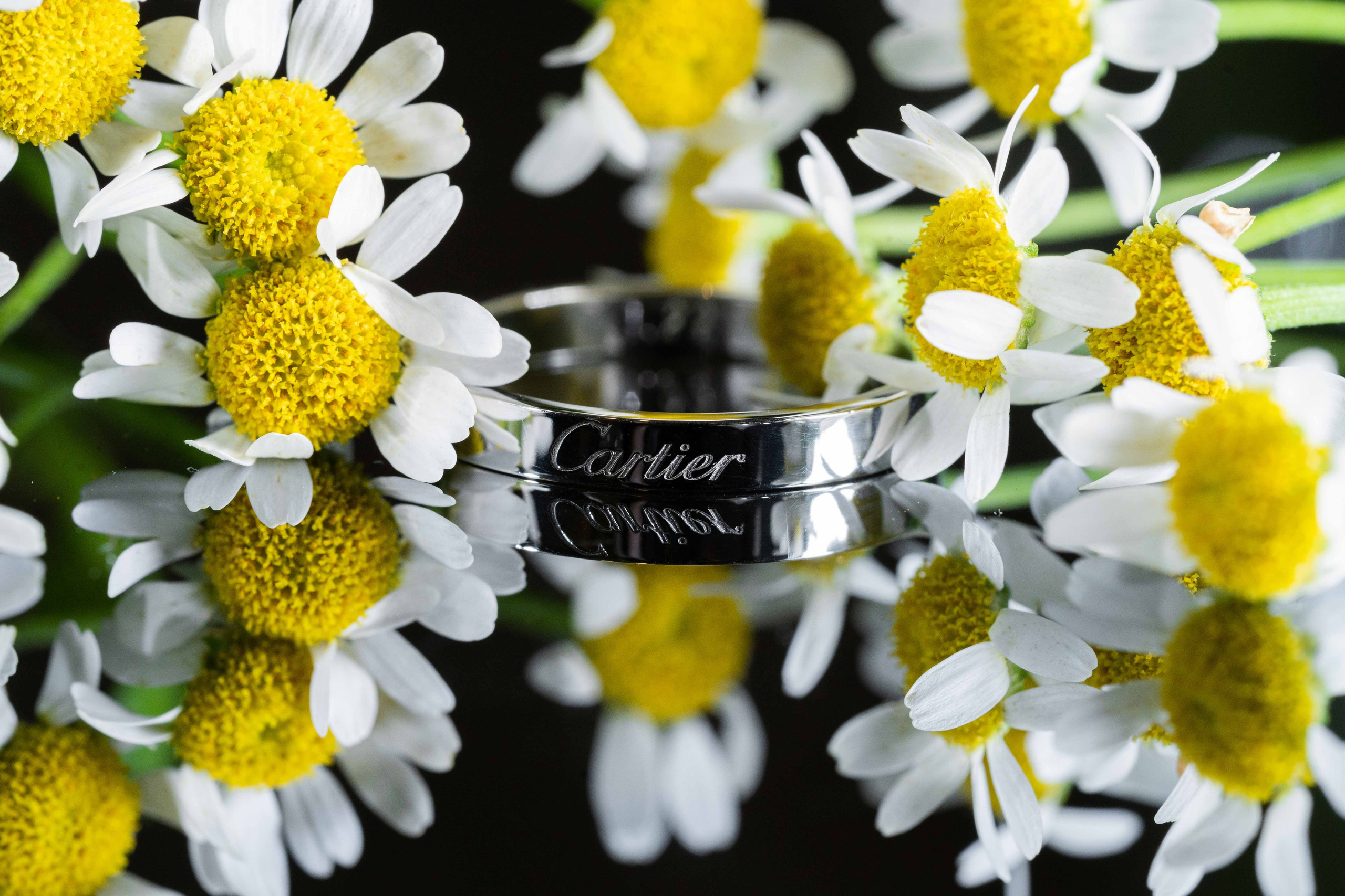 Sarah home engagement