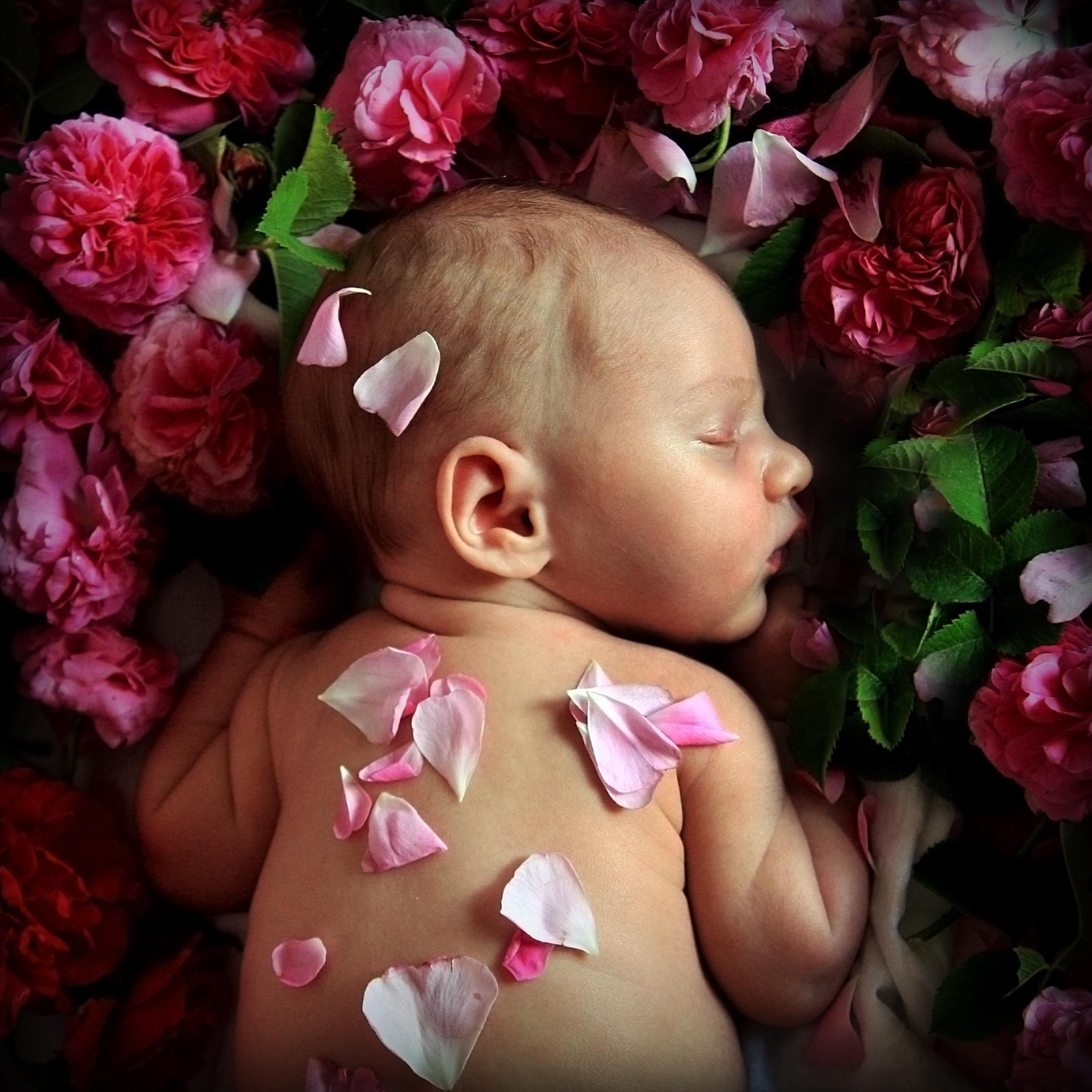 Kids. Мультижанровый фотограф Дарья Strebog