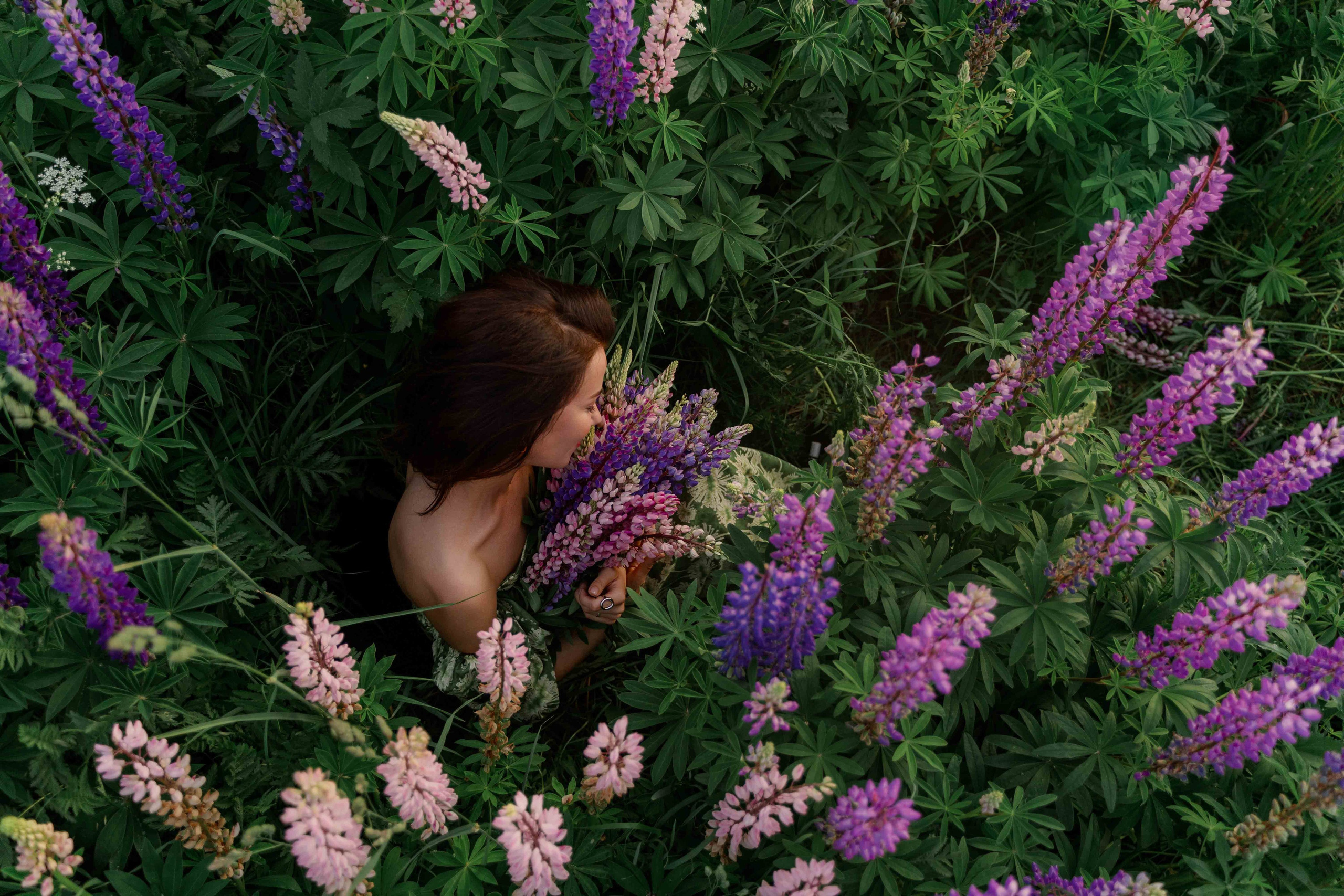 Наташа и люпины. Фотограф и видеограф в Москве и Абу Даби Мария Кулагина