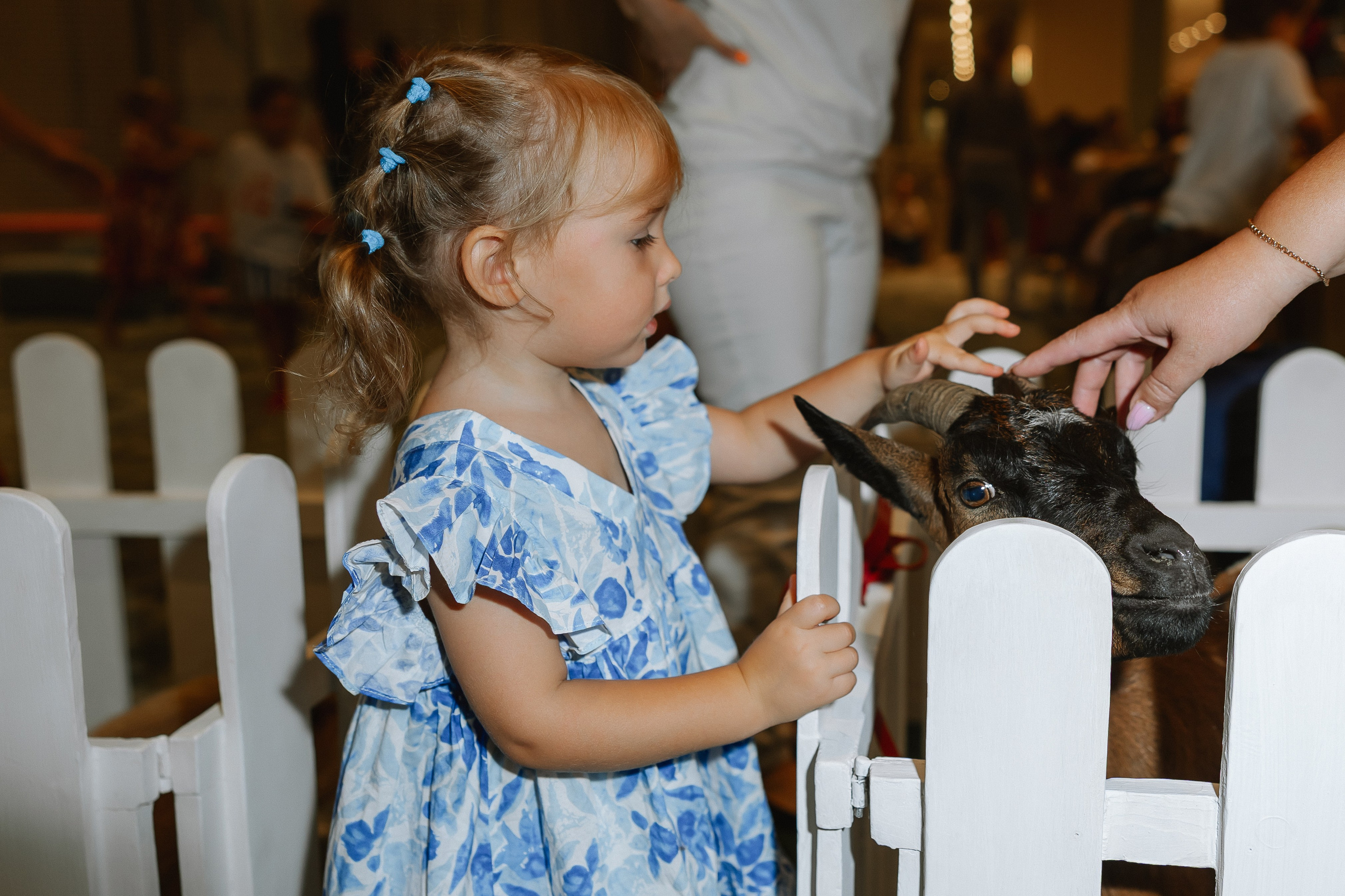 День рождения Мария и Георгий. Свадебный фотограф | Москва | Демидова Мария