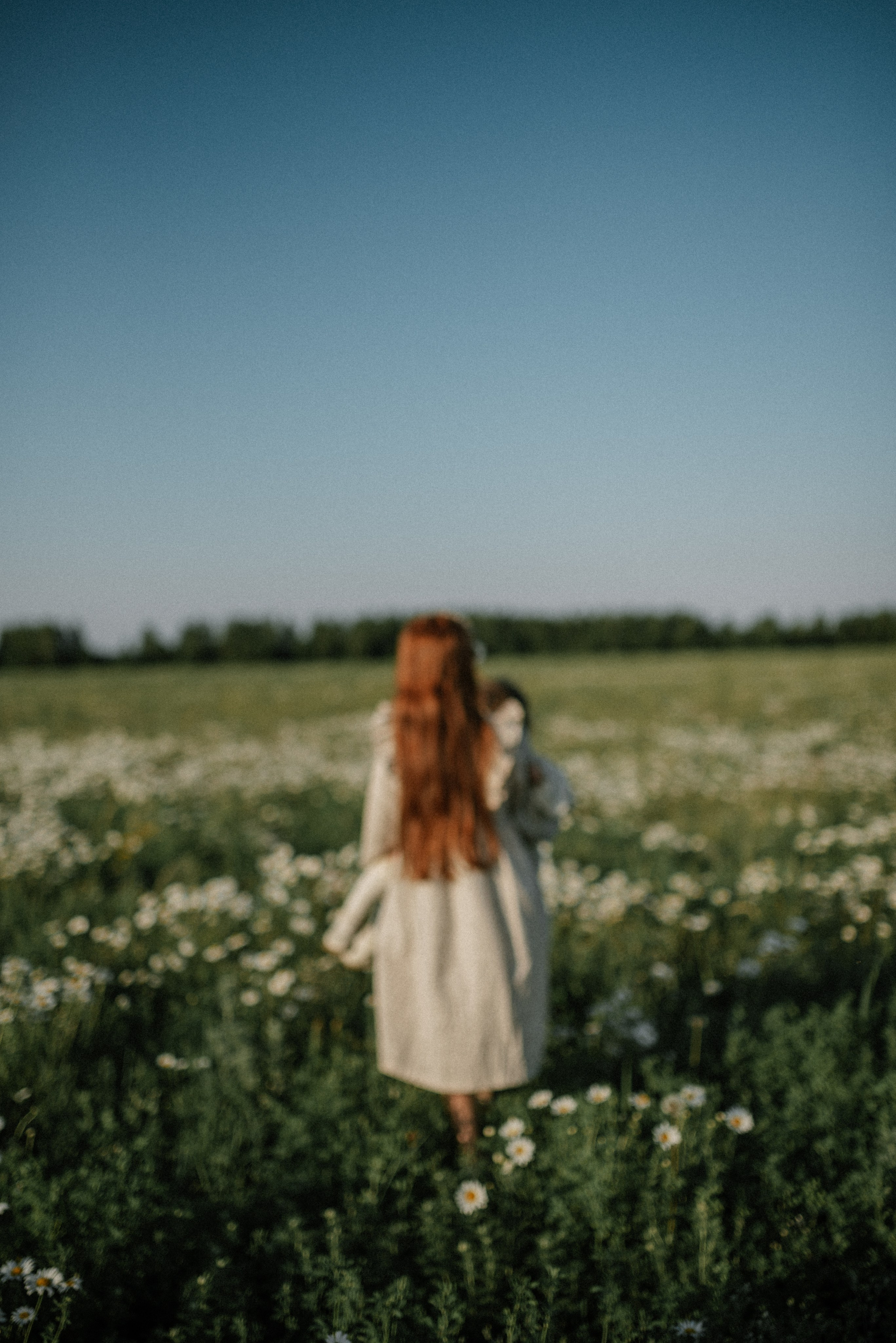 Ида, Мира и ромашки. Свадебный и семейный фотограф Кожевникова Лариса