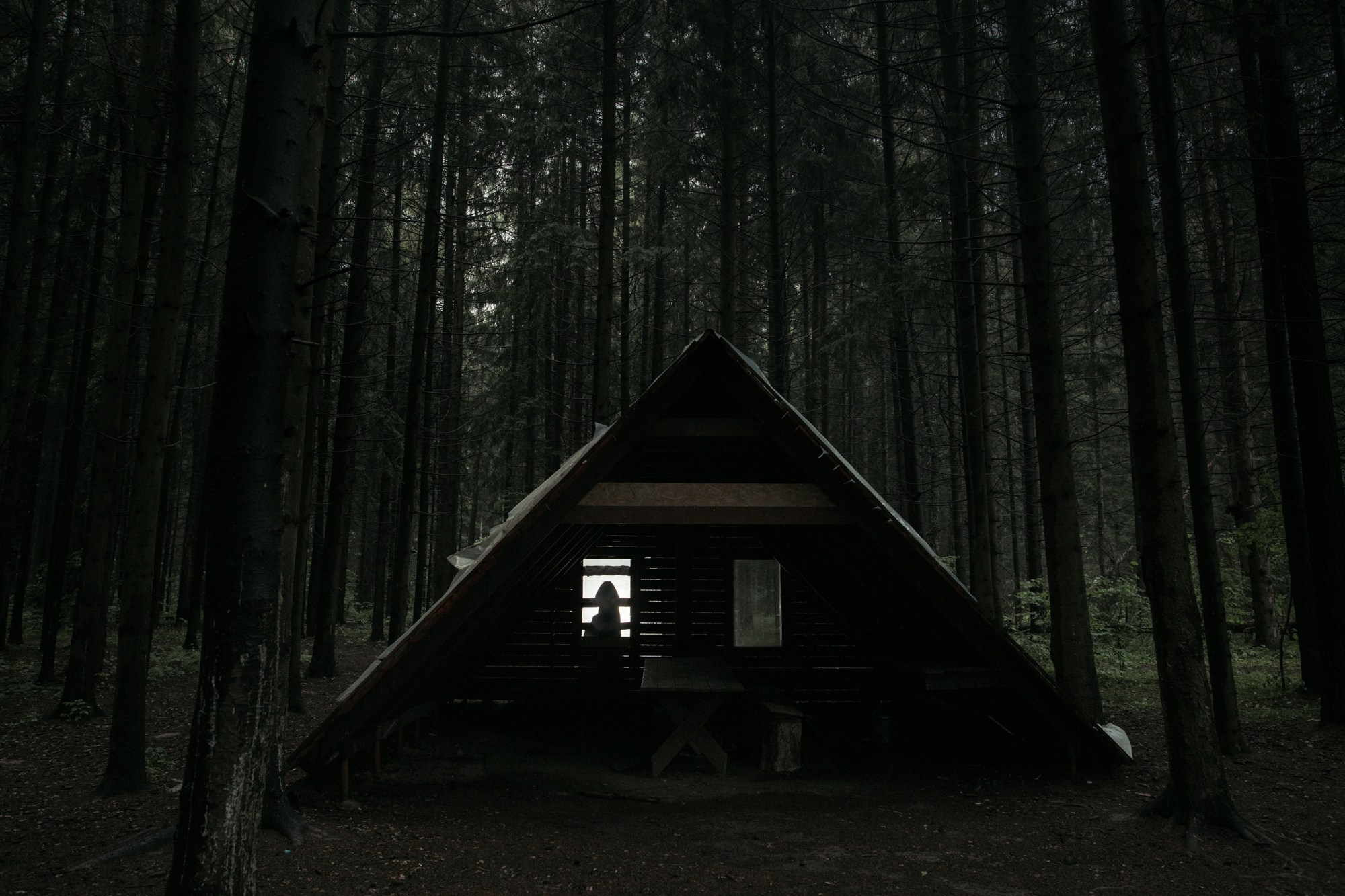 Understory. Tatiana Sikorskaya