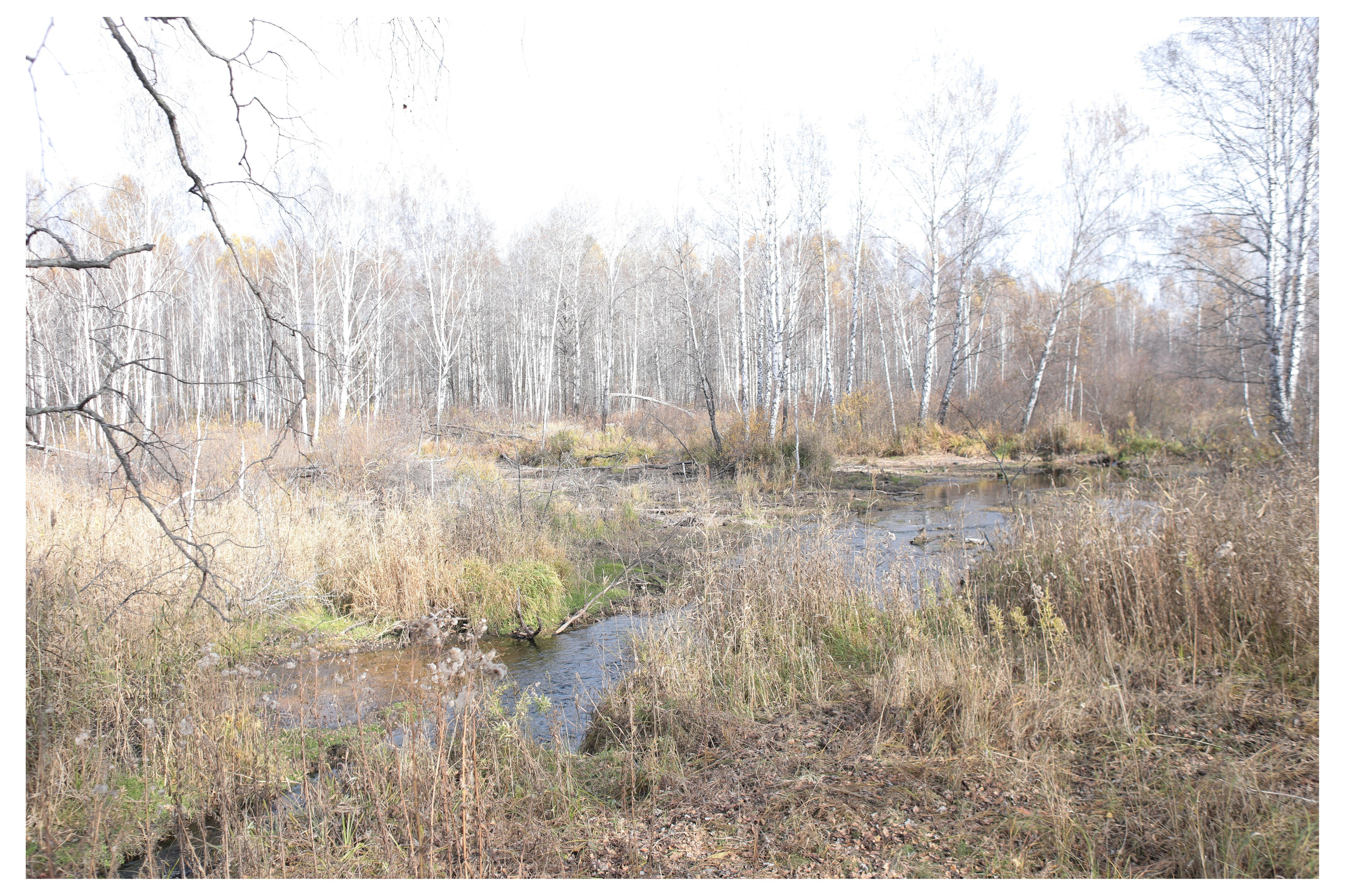 ДЕРЕВНЯ. Фотограф Манакова Ольга