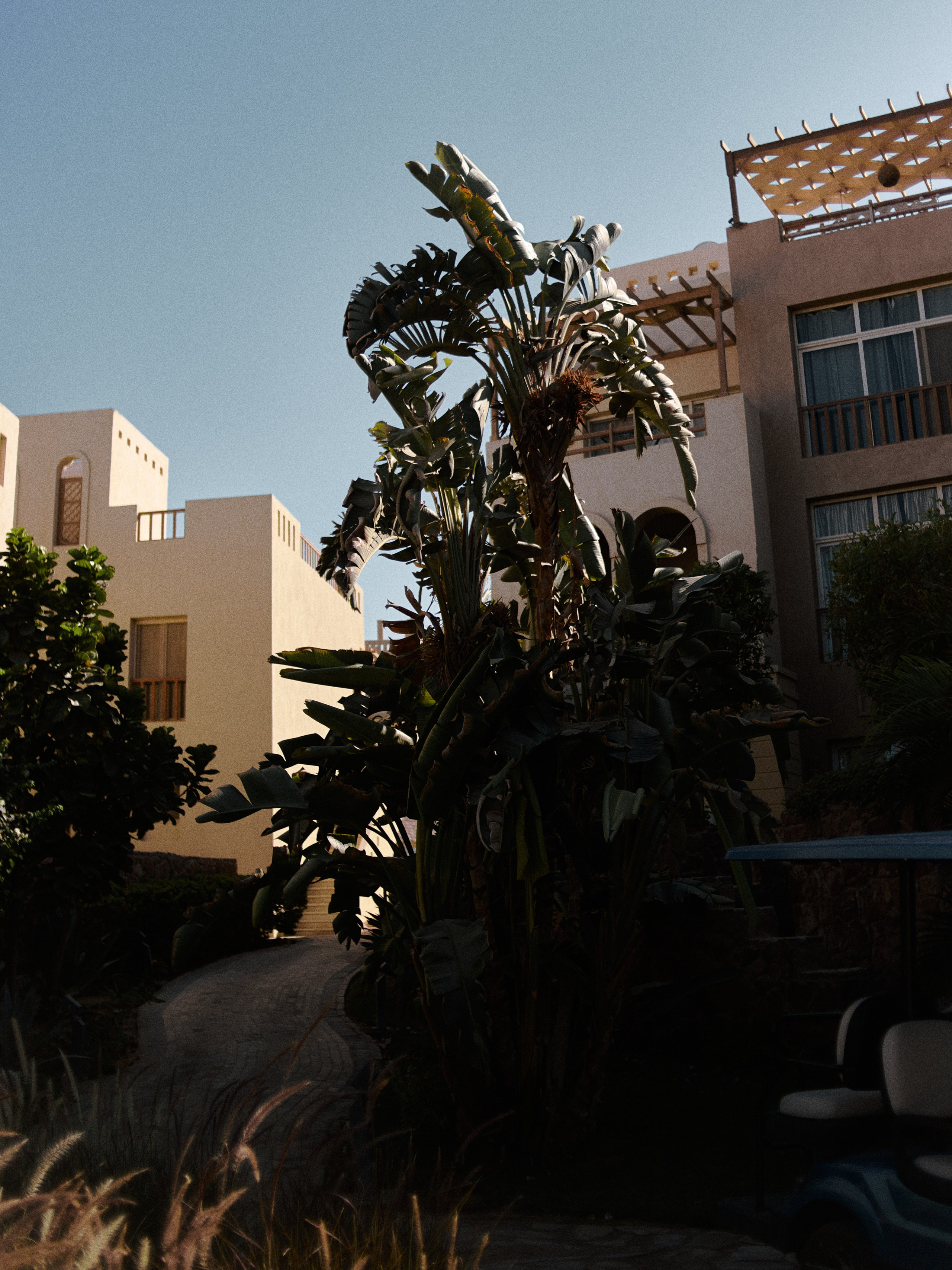 Природа сквозь. Jorgis Talè — photographer, kind person, teacher of arts and other mag