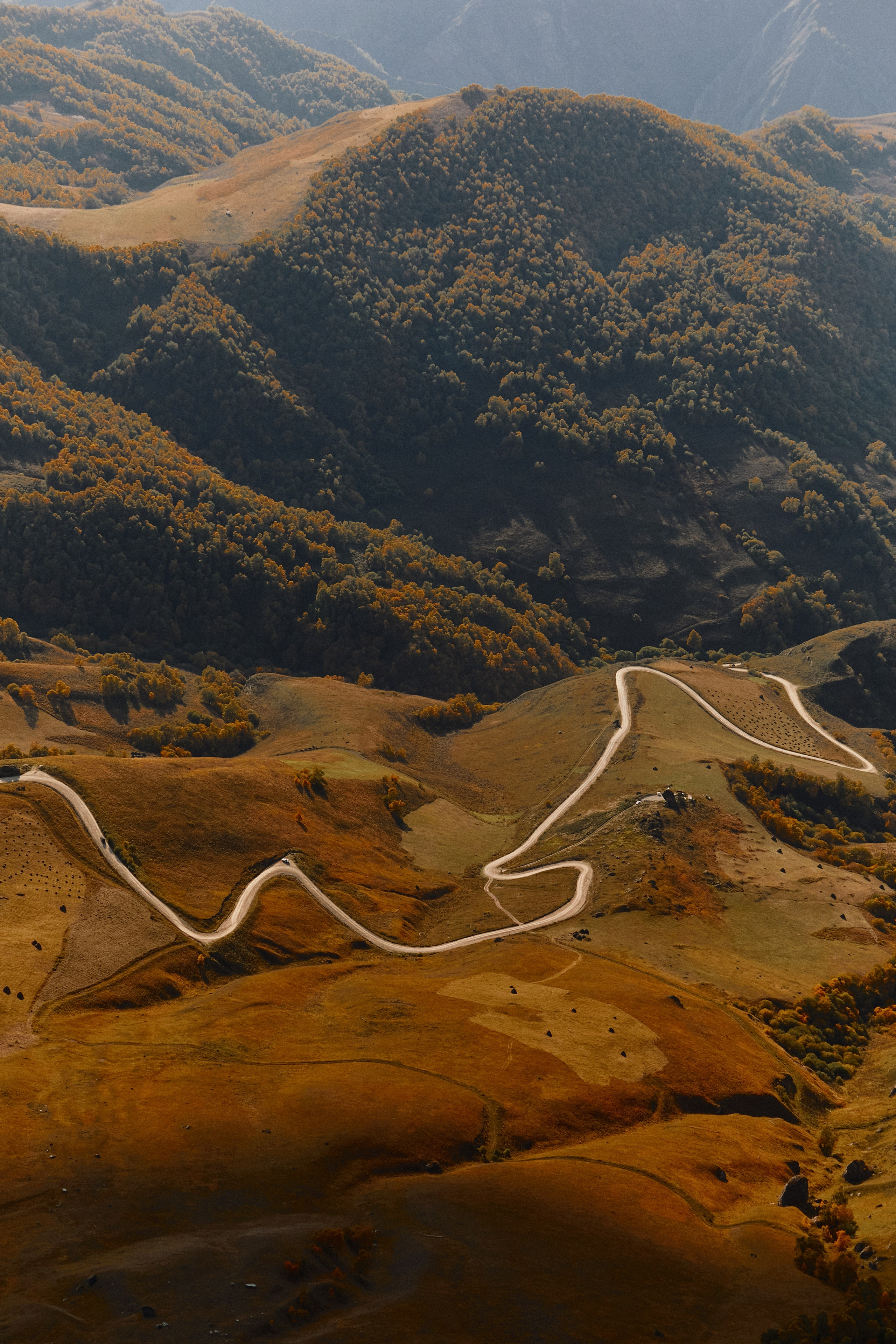 Лха 2500. Фотограф Продюсер в горах КБР / Москва  Нальчик Горы