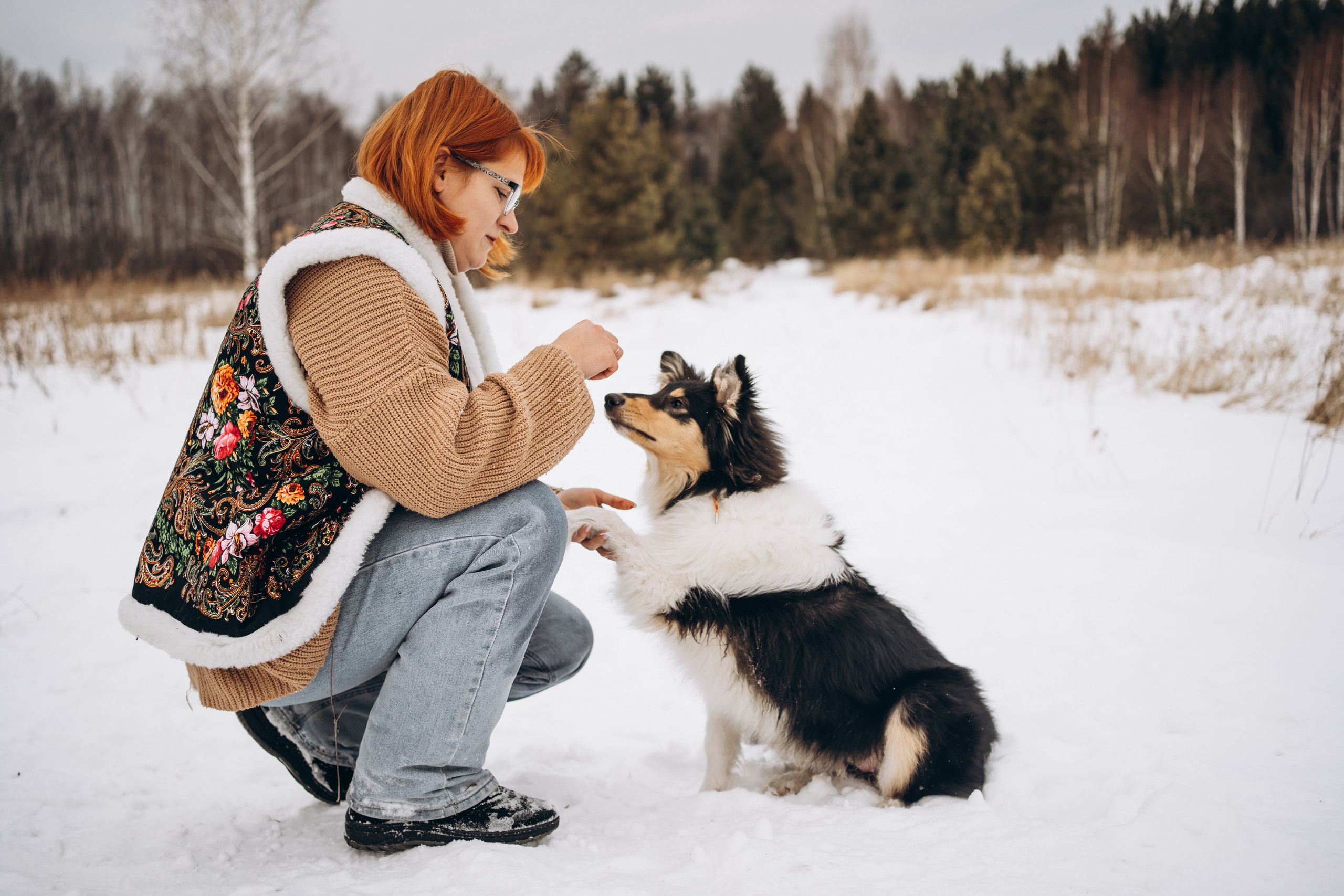Альма. Фотограф-анималист Анастасия Большакова