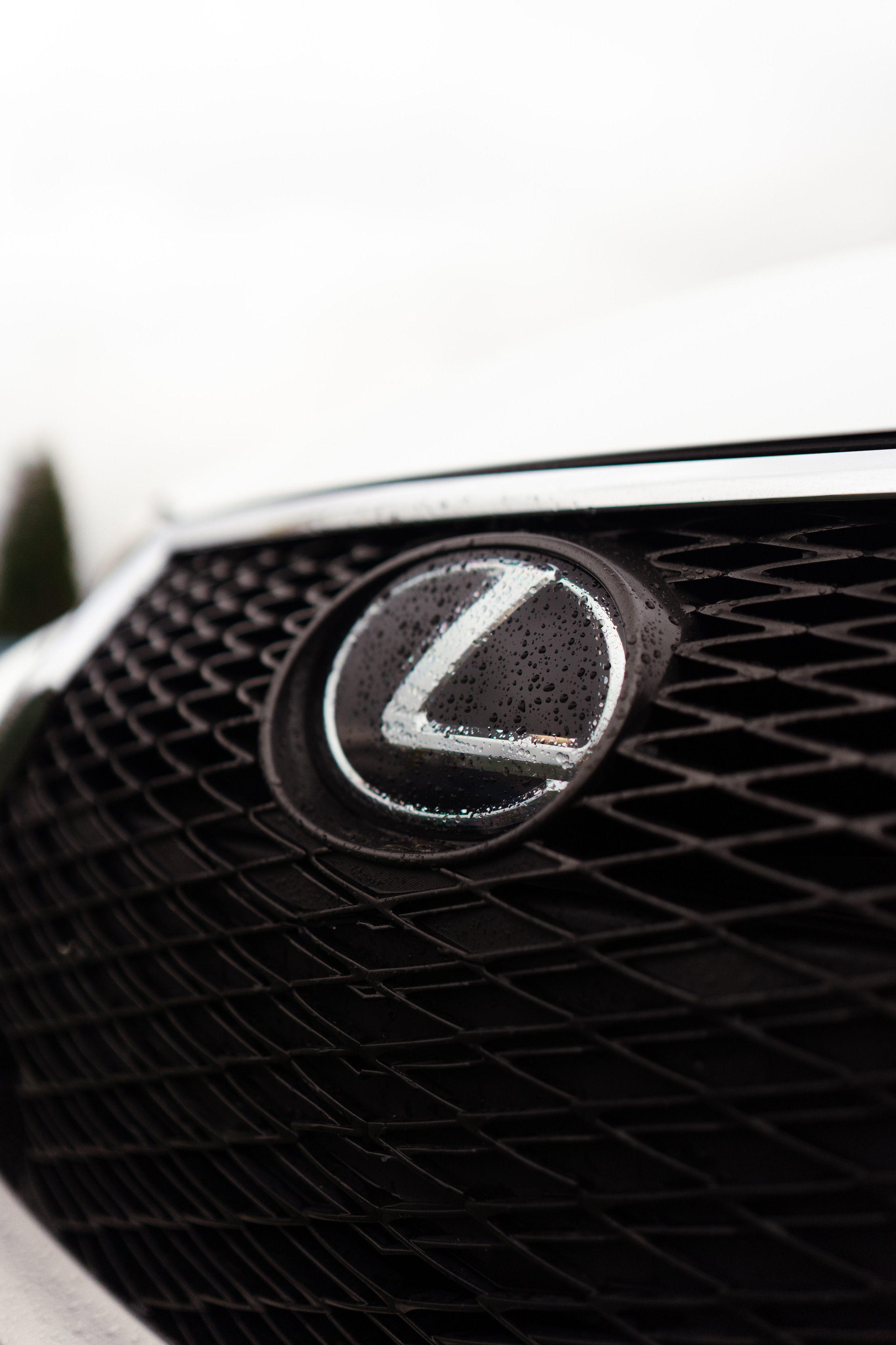 Fitment event 2023. Фотограф в СПБ Алмаз Камаев