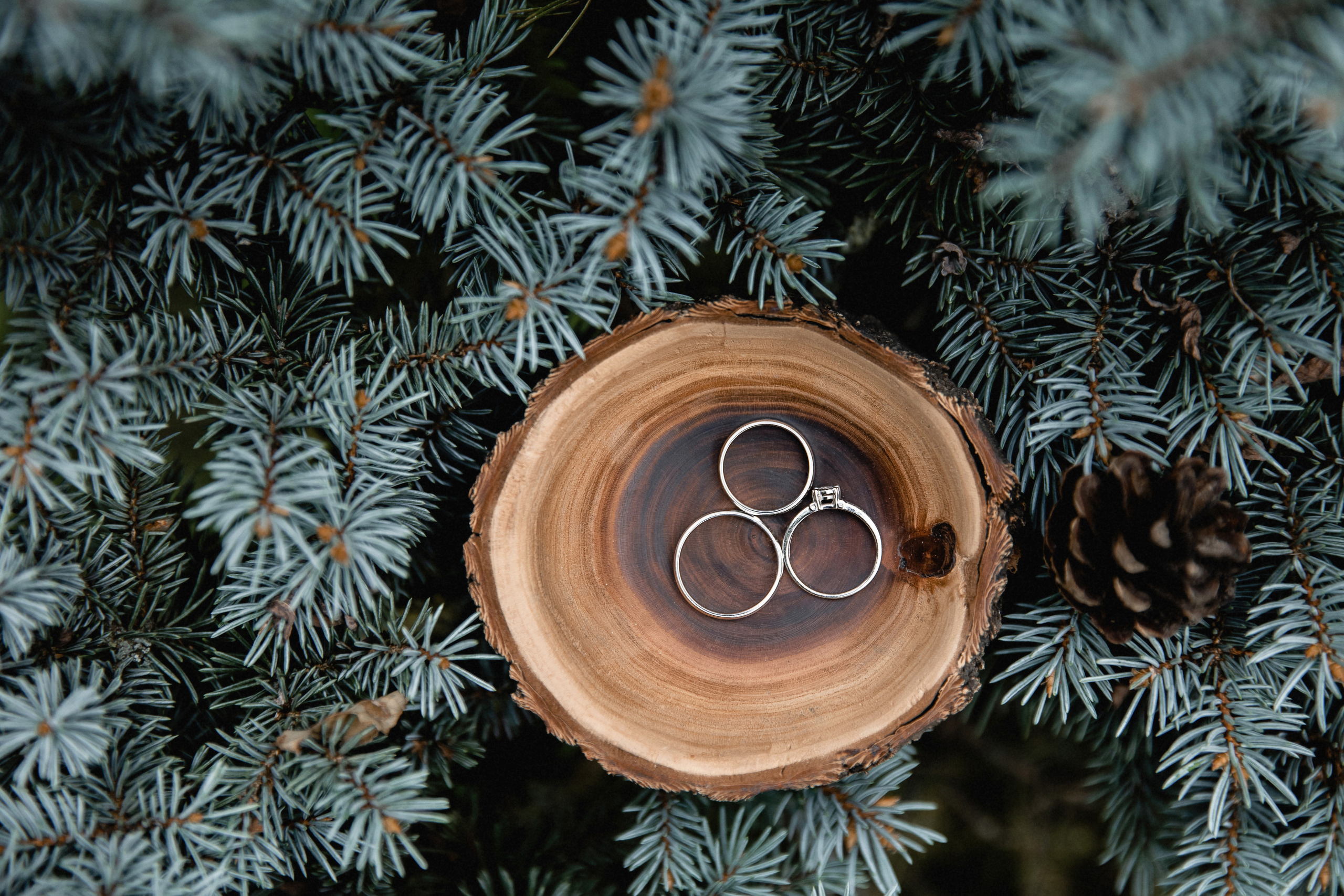 Роман и Юлия. Свадебный фотограф в Ростове-на-Дону Олег Майер