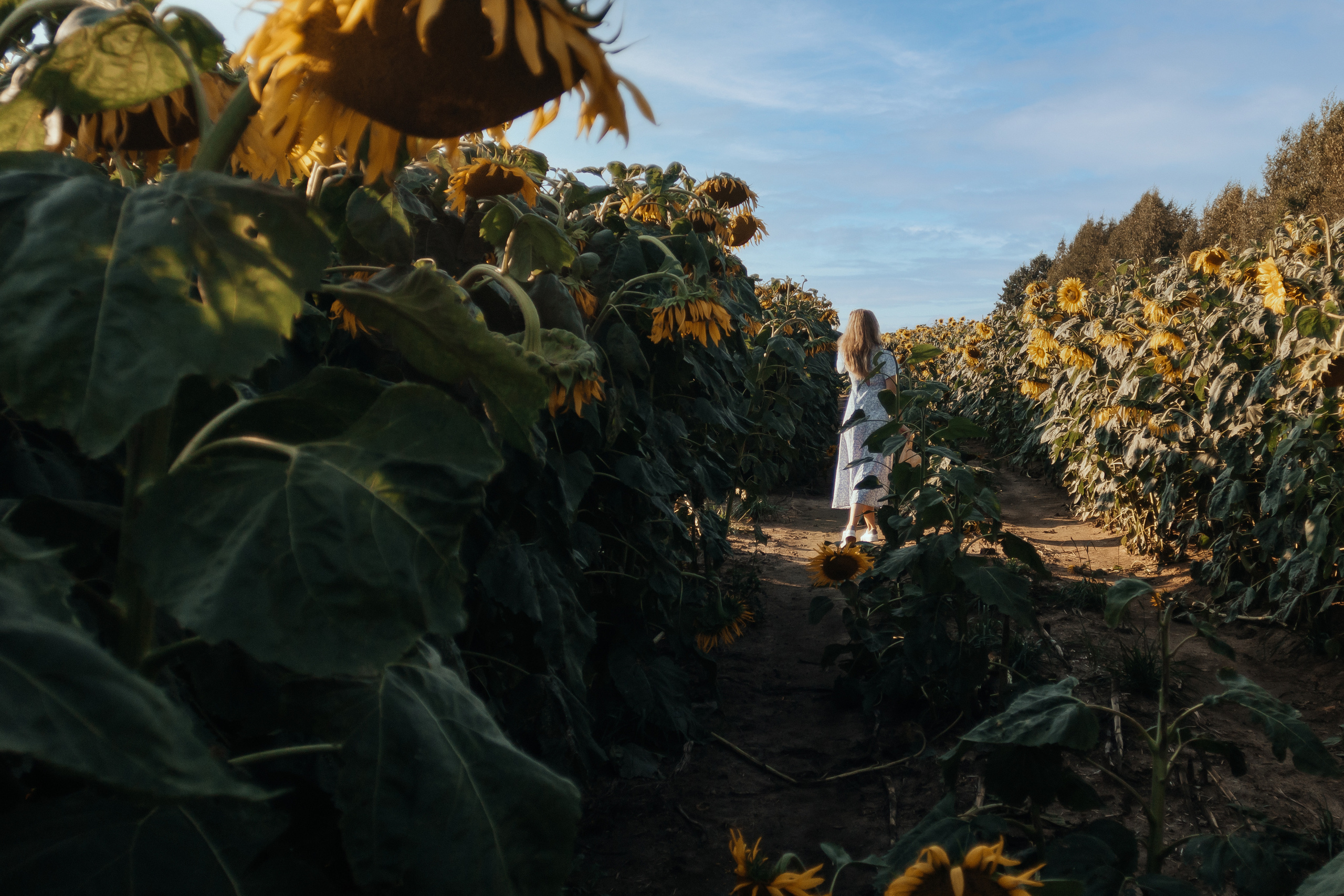 Natalia. Фотограф Солигорск