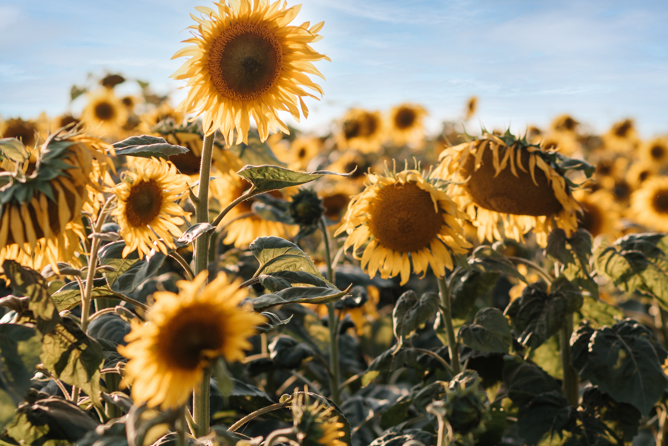Natalia. Фотограф Солигорск