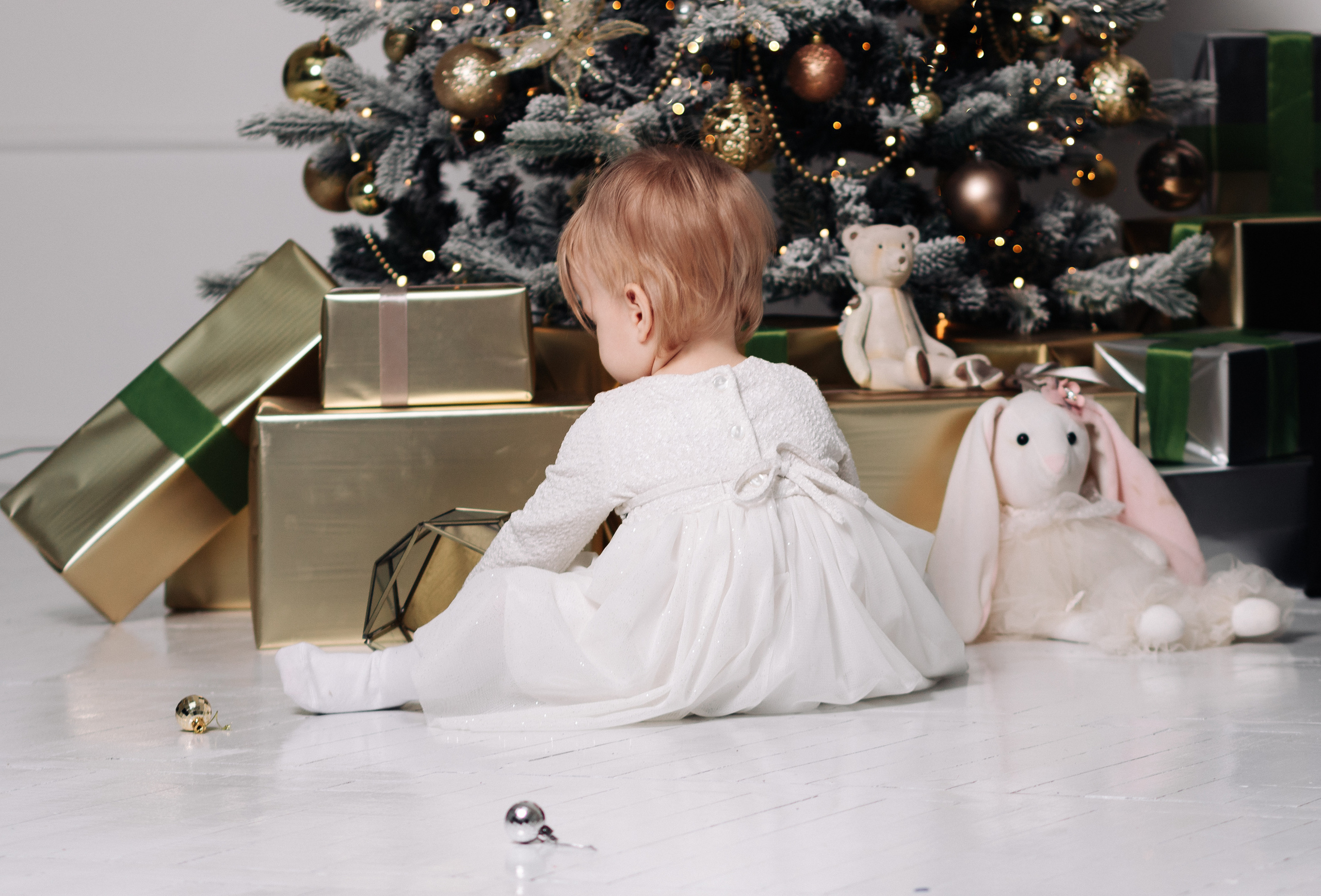 Новогодняя. Фотограф Солигорск