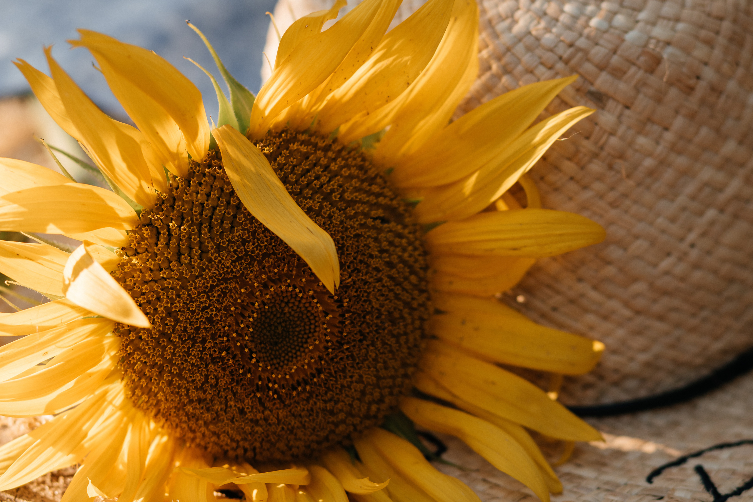 Natalia. Фотограф Солигорск