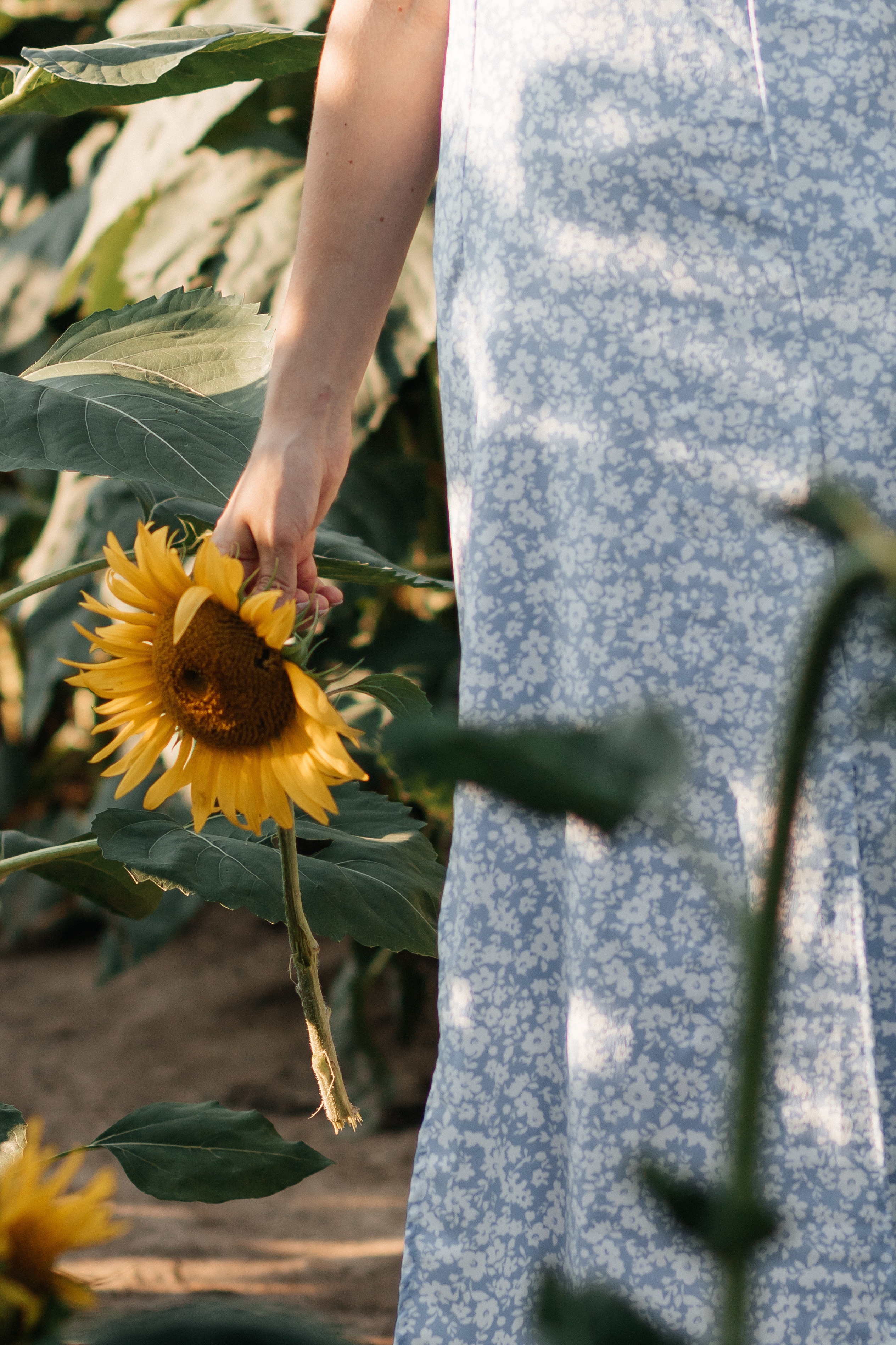 Natalia. Фотограф Солигорск