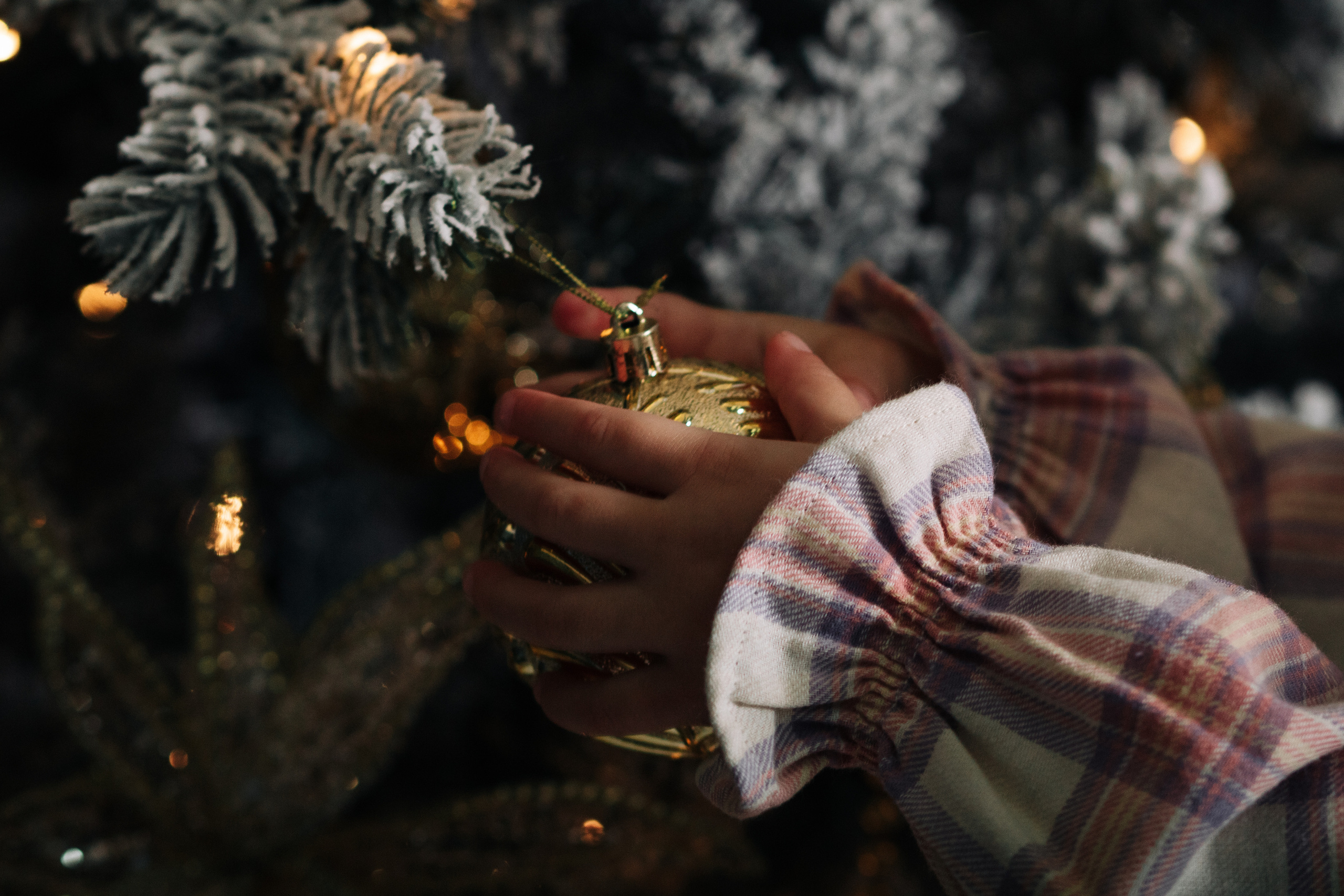 Алексей, Юлия, Дашка и Ромка. Фотограф Солигорск