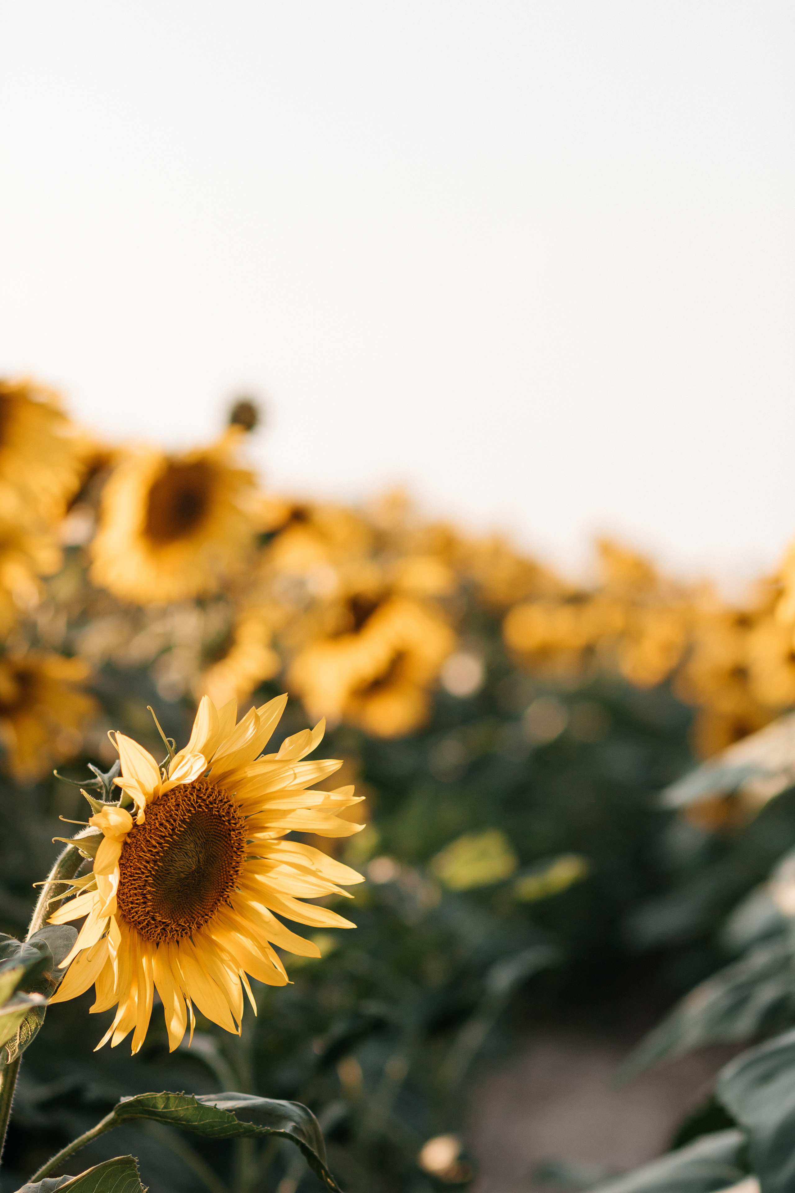 Natalia. Фотограф Солигорск