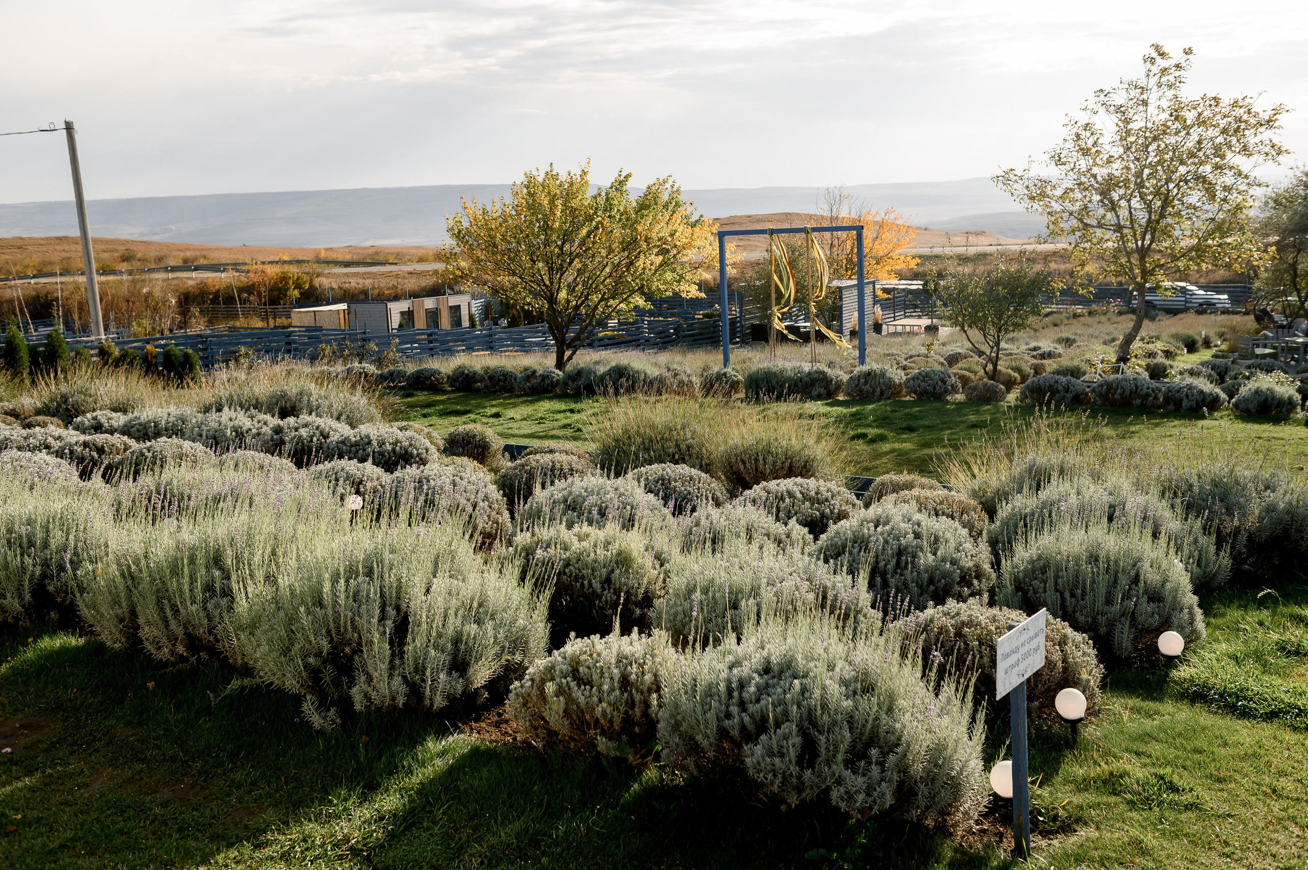 День рождение Екатерины. Свадебный и семейный фотограф в Ставрополе Роман Иванов