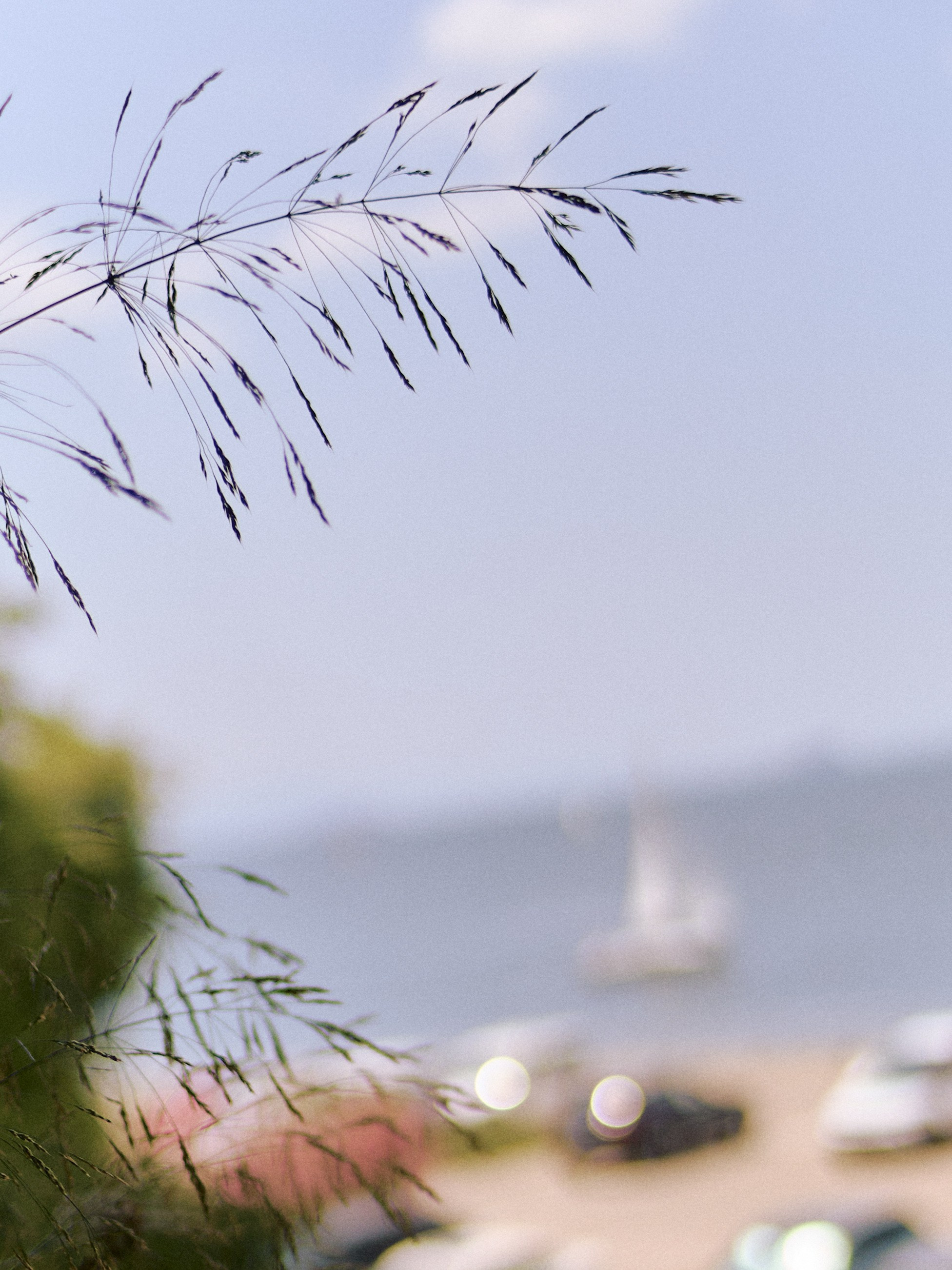 Другое 3. Jorgis Talè — photographer, kind person, teacher of arts and other mag