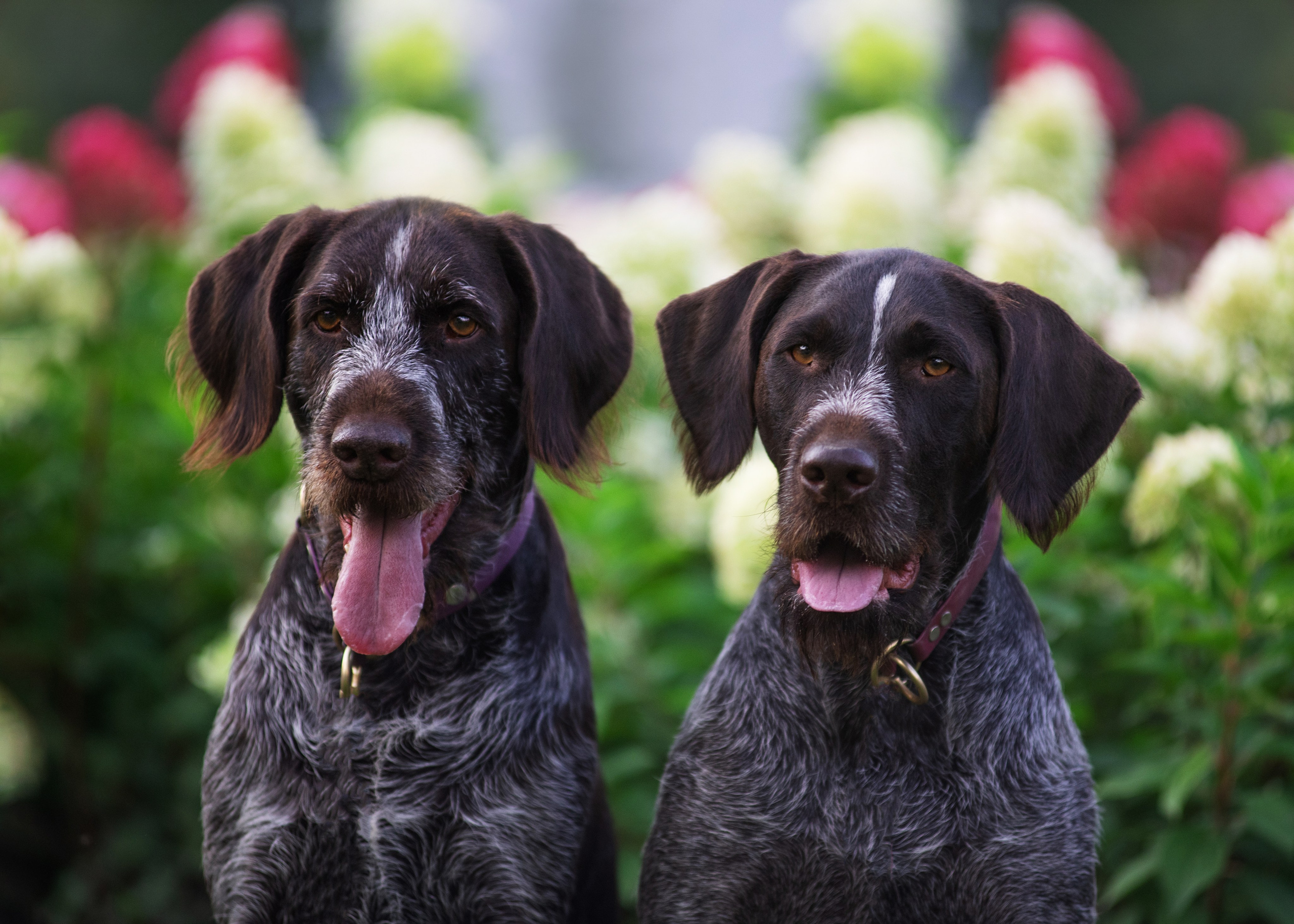 Фотографии. Главная