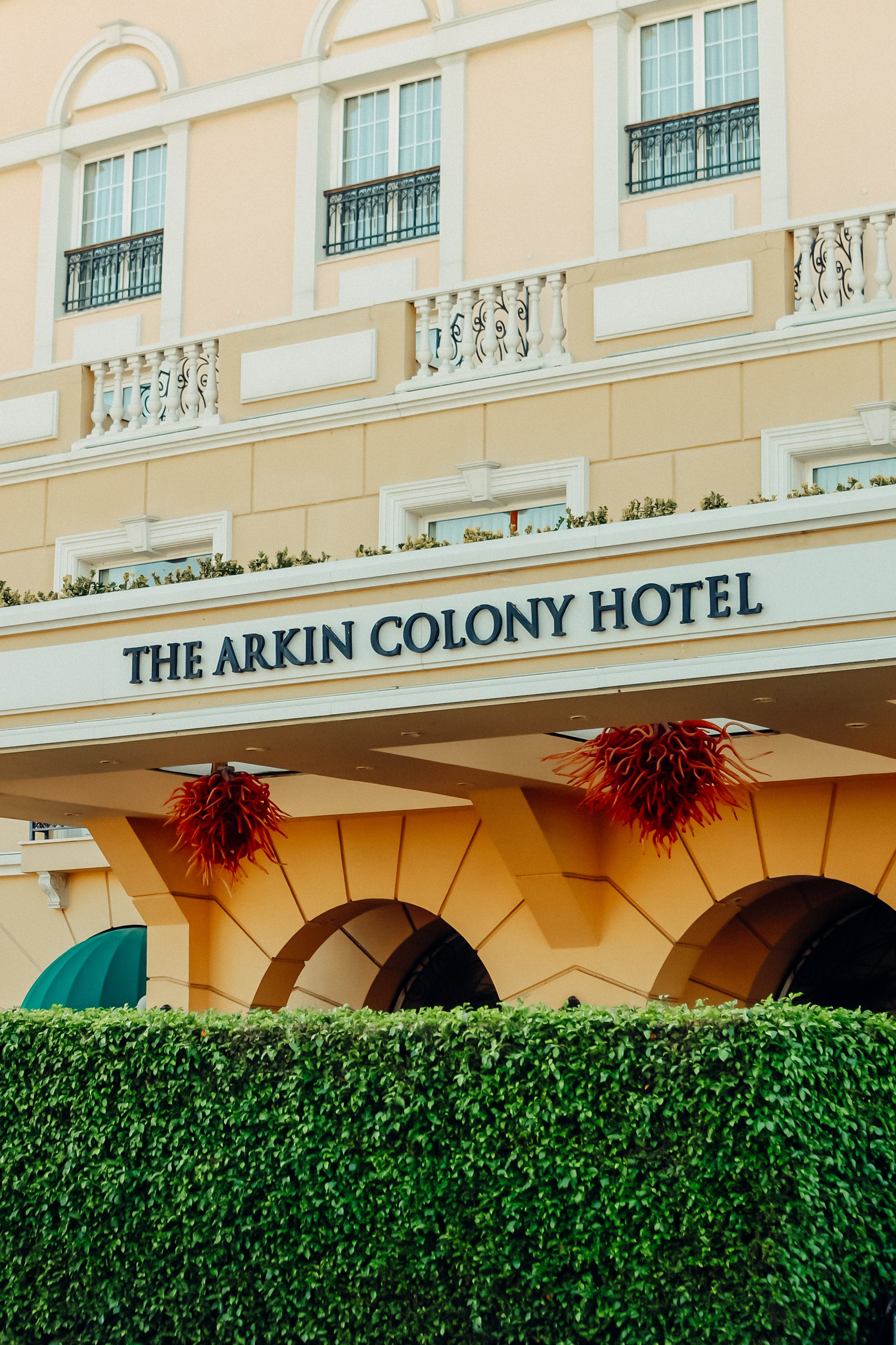 W.Talks. Photographer in Batumi, Georgia Pavel Sharnikov