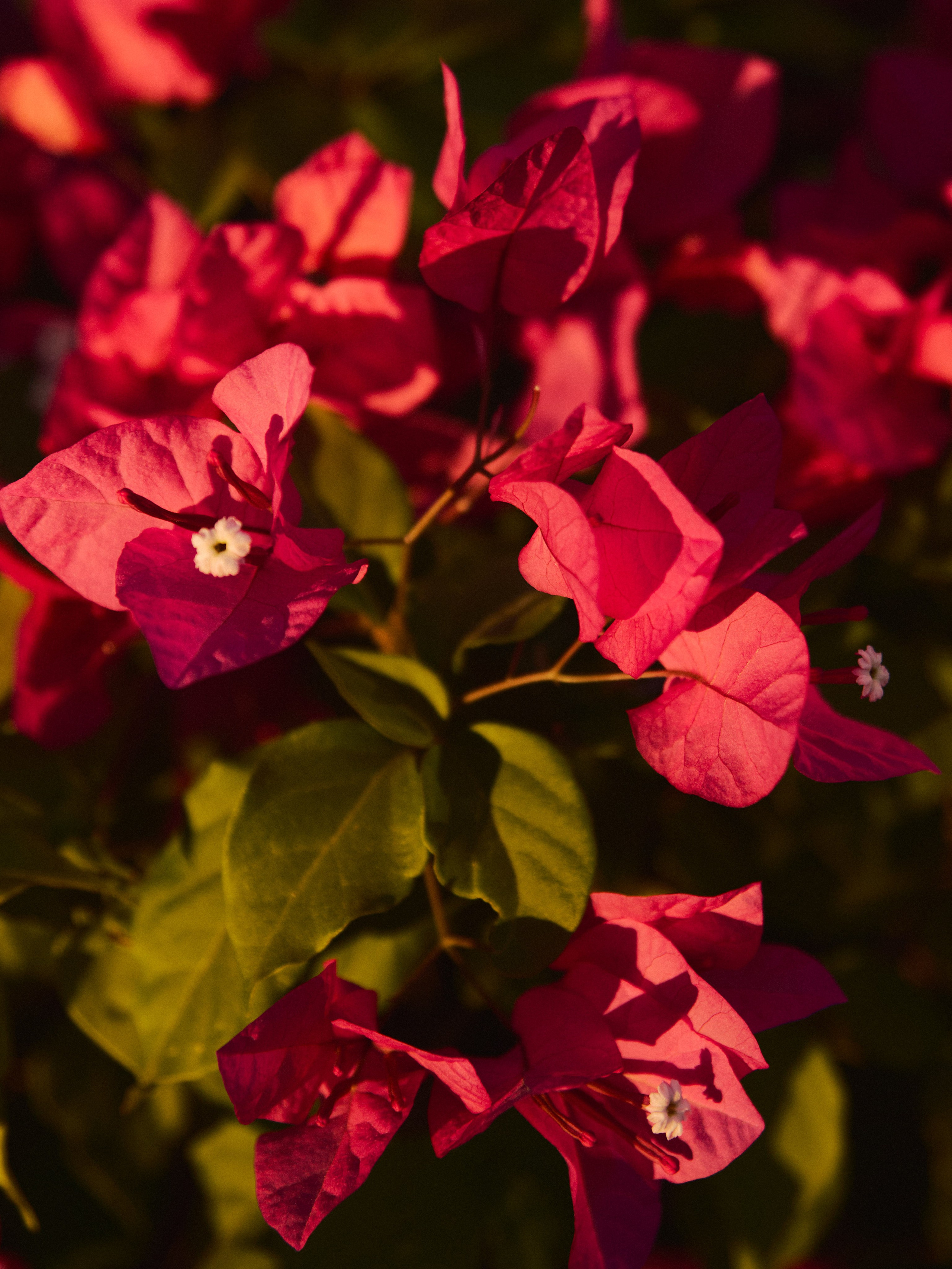 Природа. Jorgis Talè — photographer, kind person, teacher of arts and other mag