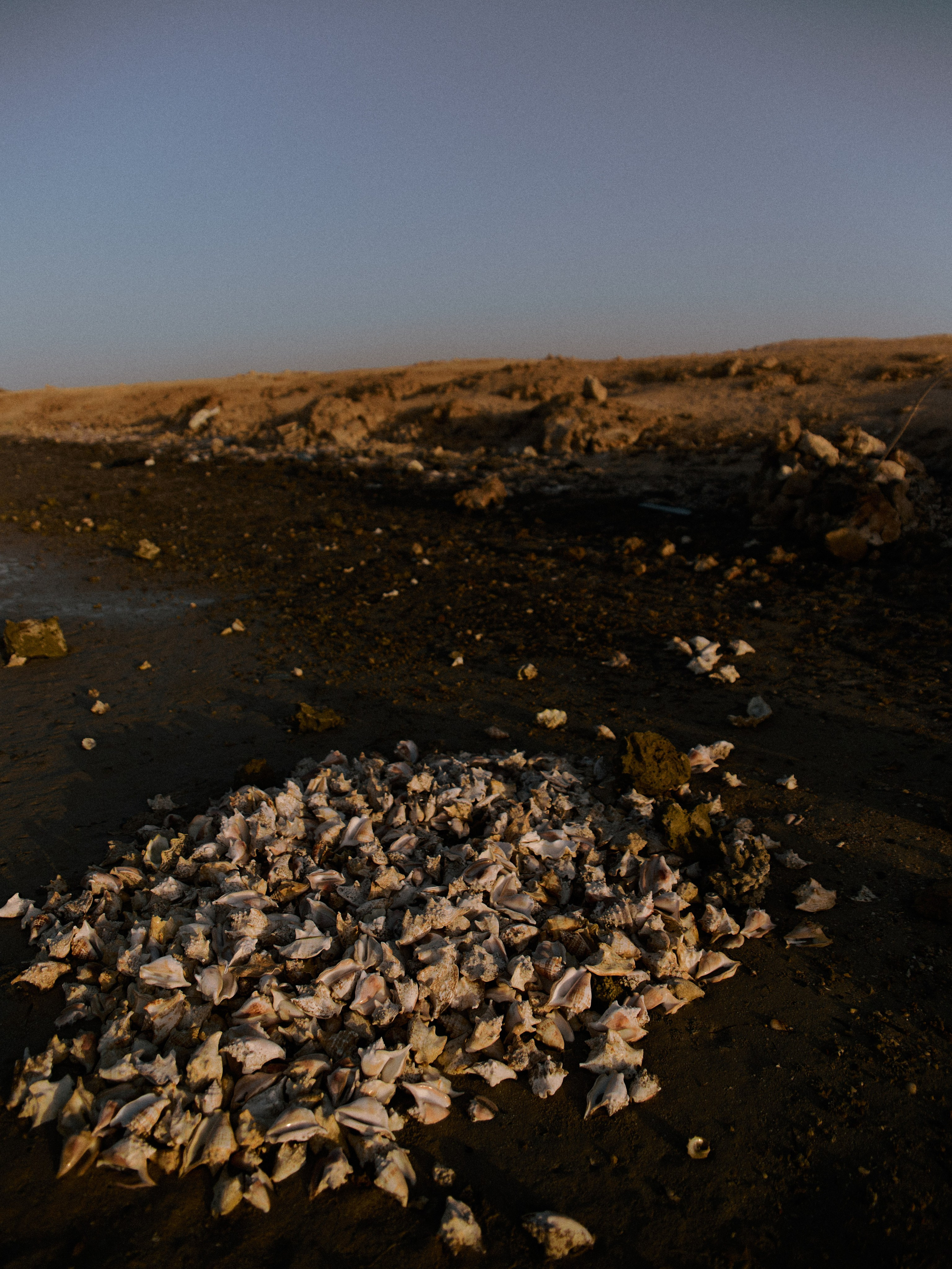 Диптих. Jorgis — фотограф в Хургаде / обучение фотографии