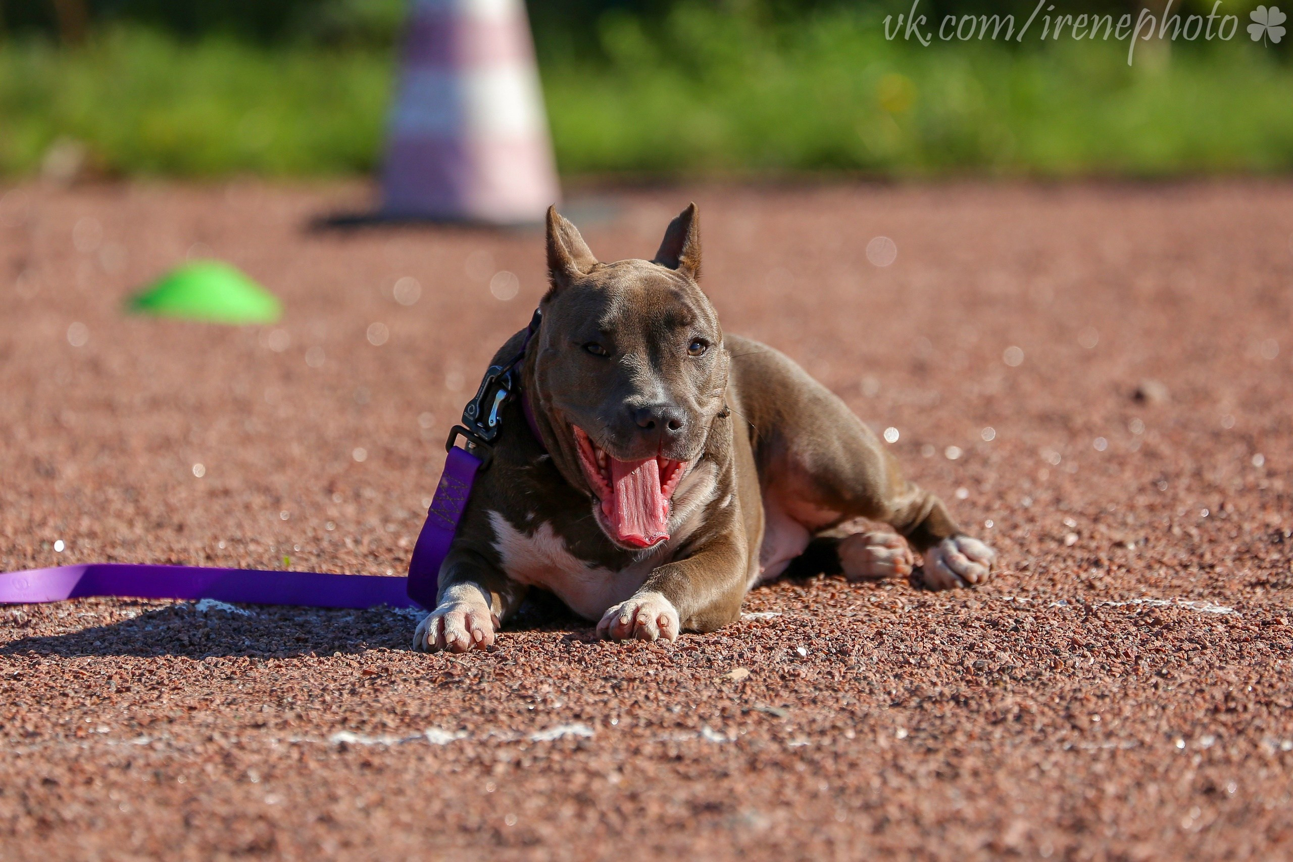 Остановка из движения. Irenephoto.ru