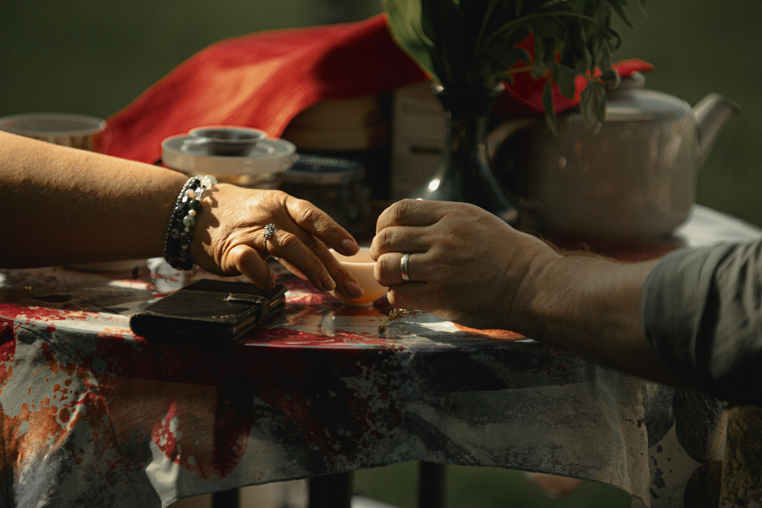 IX Фестиваль Чайной культуры в Тобольске 2025. Арт-фотограф Крис Л. в Тобольске: портрет, семейные, свадьбы