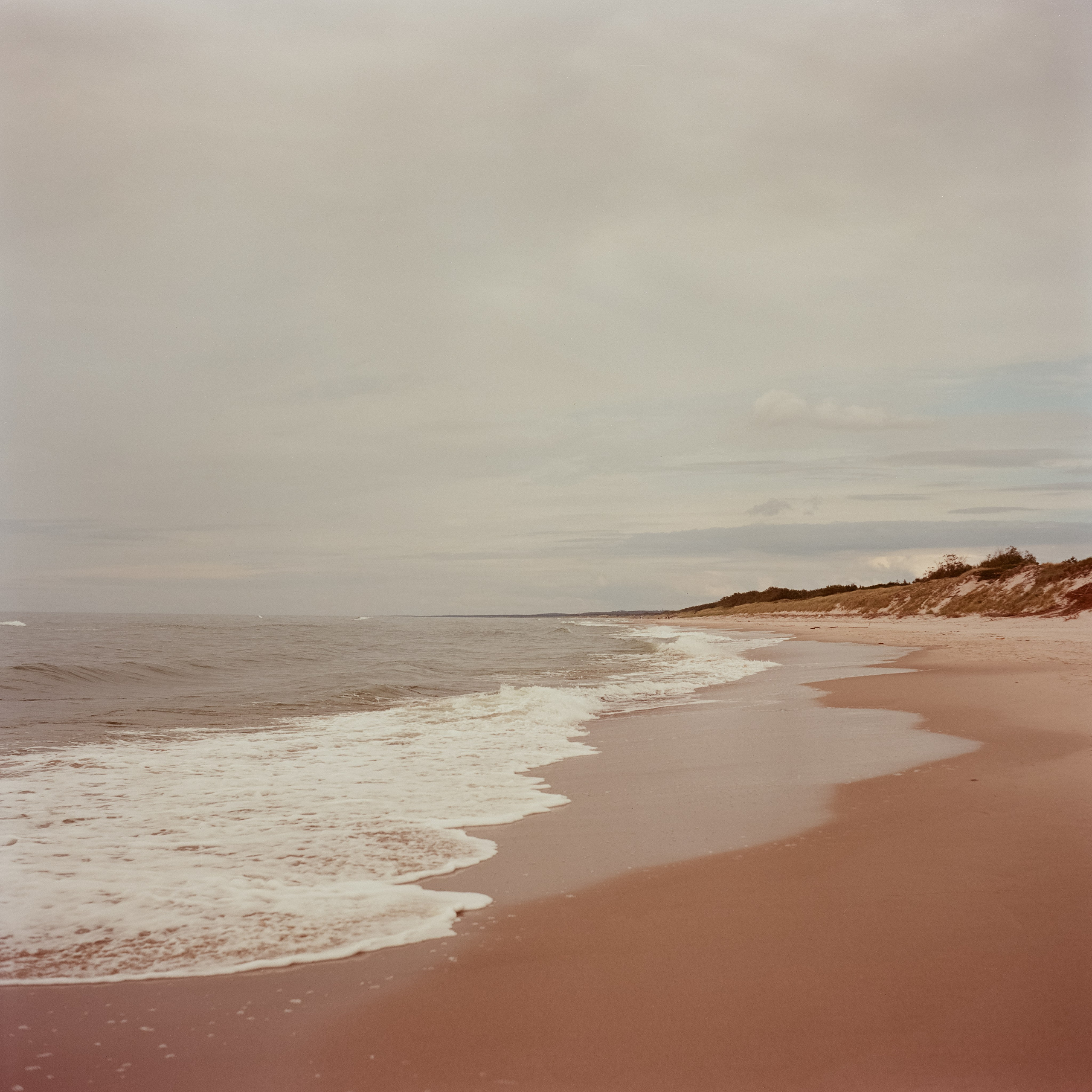 Куршская коса / Super Fujica-6 / Kodak Aeronega 100 (Kodak Aerocolor IV)