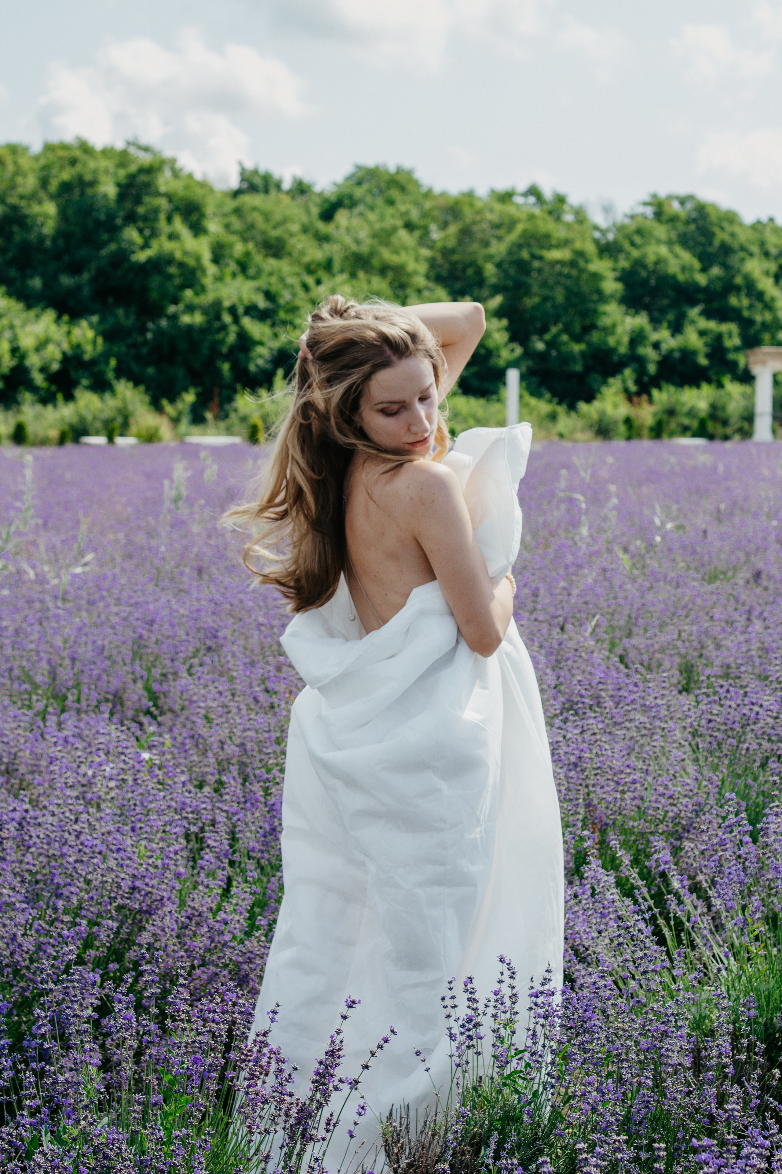 Лаванда. Главная