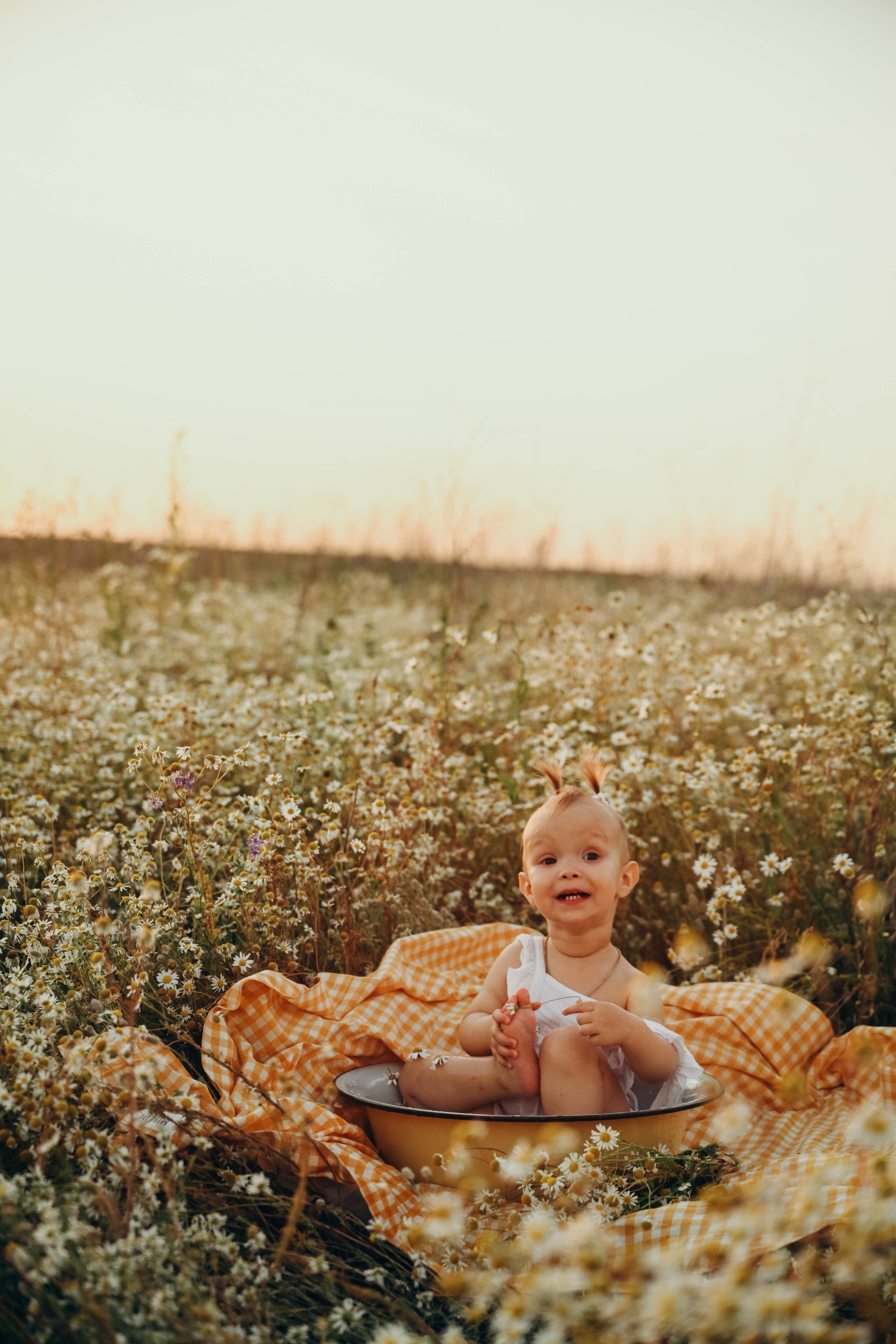 Ромашковое поле. Семейный фотограф в Москве Люберцах Ирина Вронская
