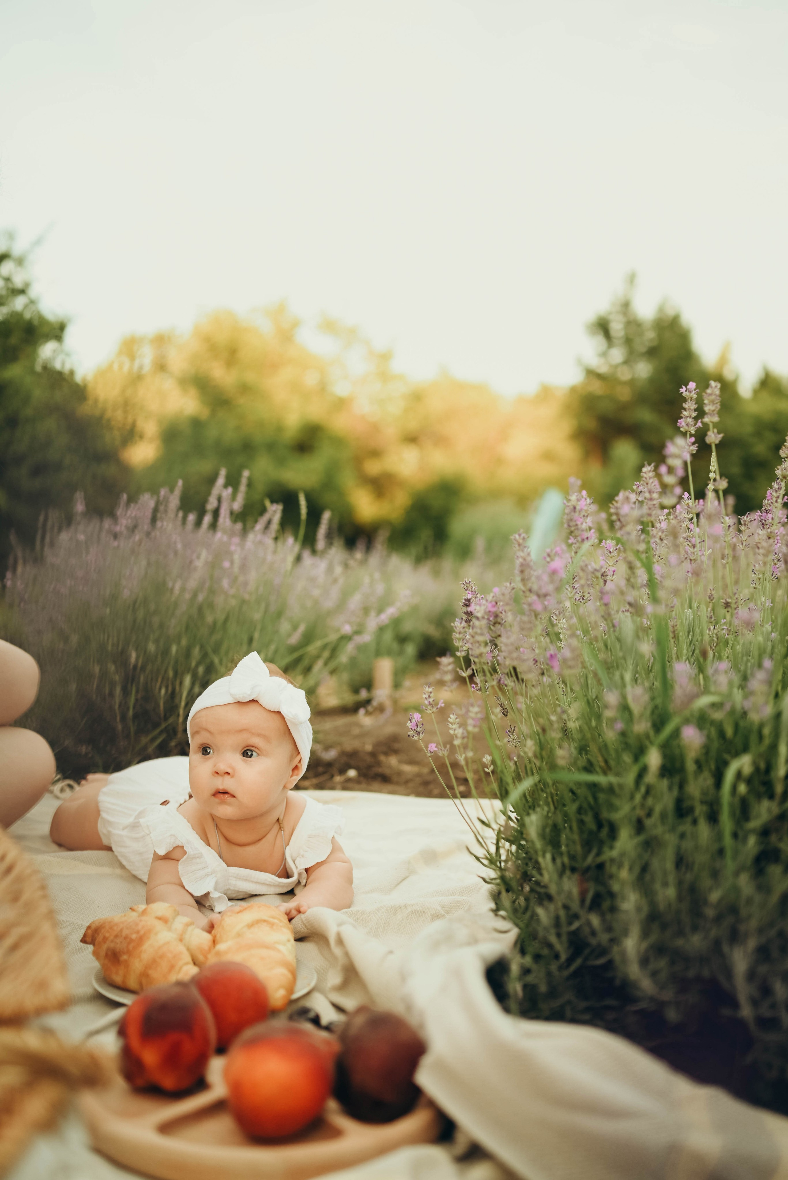 Лавандовая история в бот.саду Воронежа. Семейный фотограф в Москве Люберцах Ирина Вронская