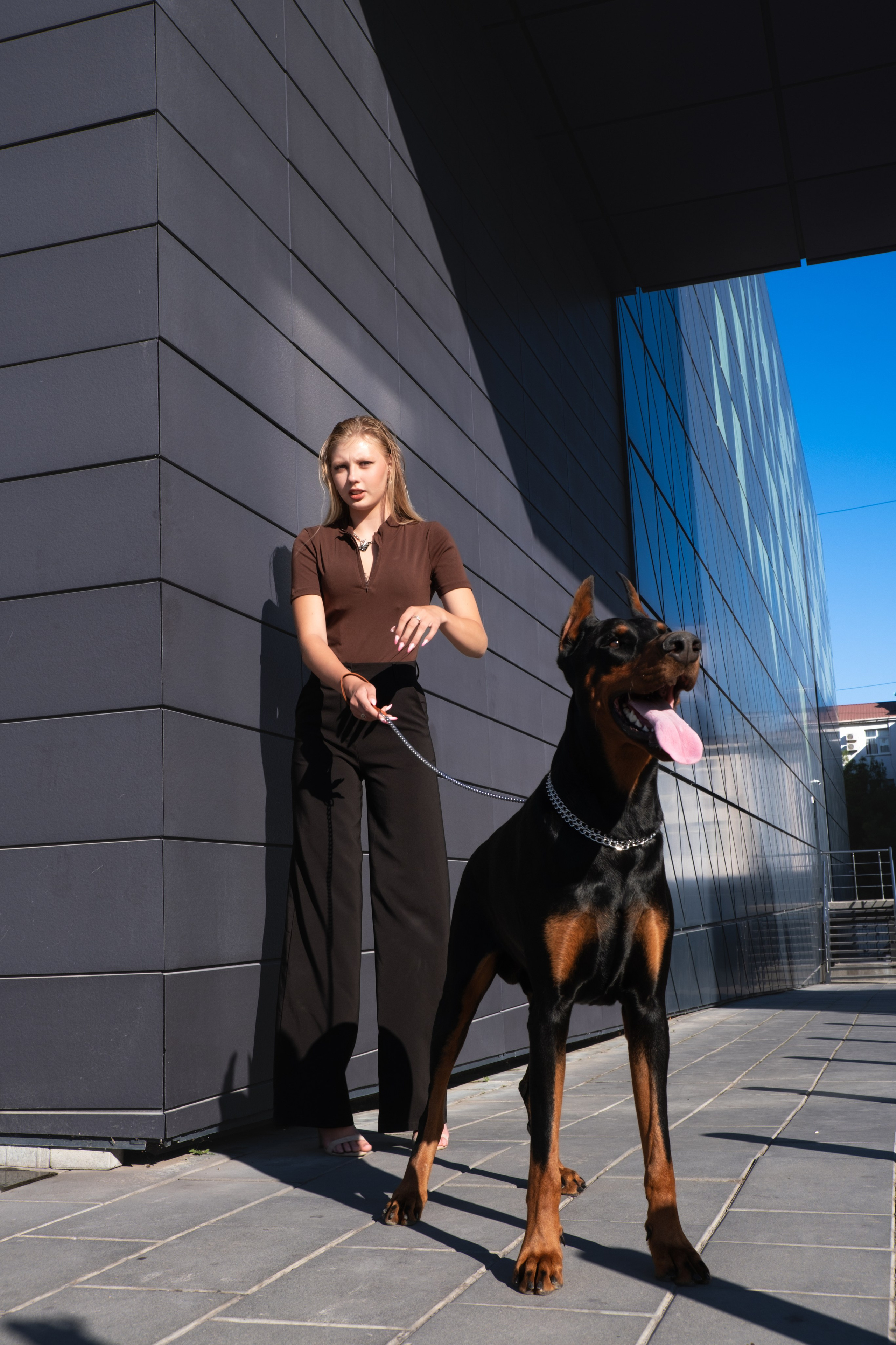 Фотосессия с Доберманом. Профессиональная фотосъемка в Крыму. Натуральные эмоции и живые кадры. Забронируйте дату прямо сейчас!