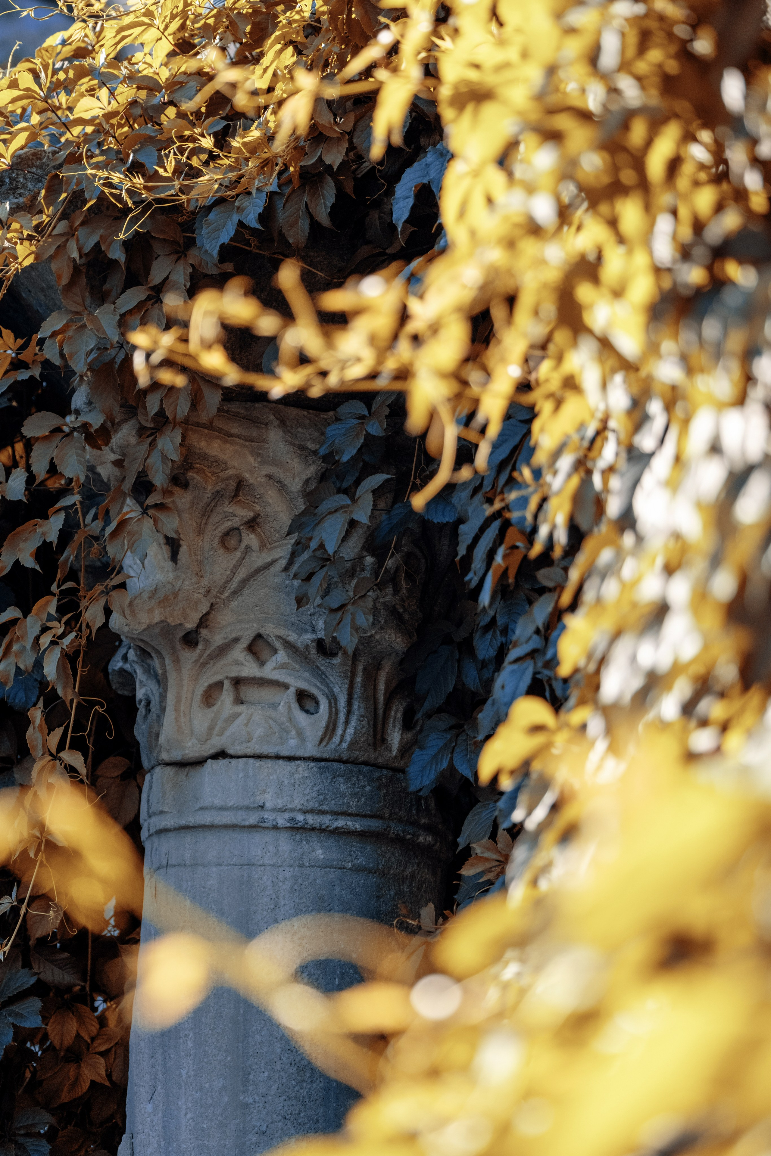 Фотосессия. Музей-заповедник Херсонес Таврический. Фотосессия в греческом стиле. Профессиональная фотосъемка в Крыму. Натуральные эмоции и живые кадры. Забронируйте дату прямо сейчас!