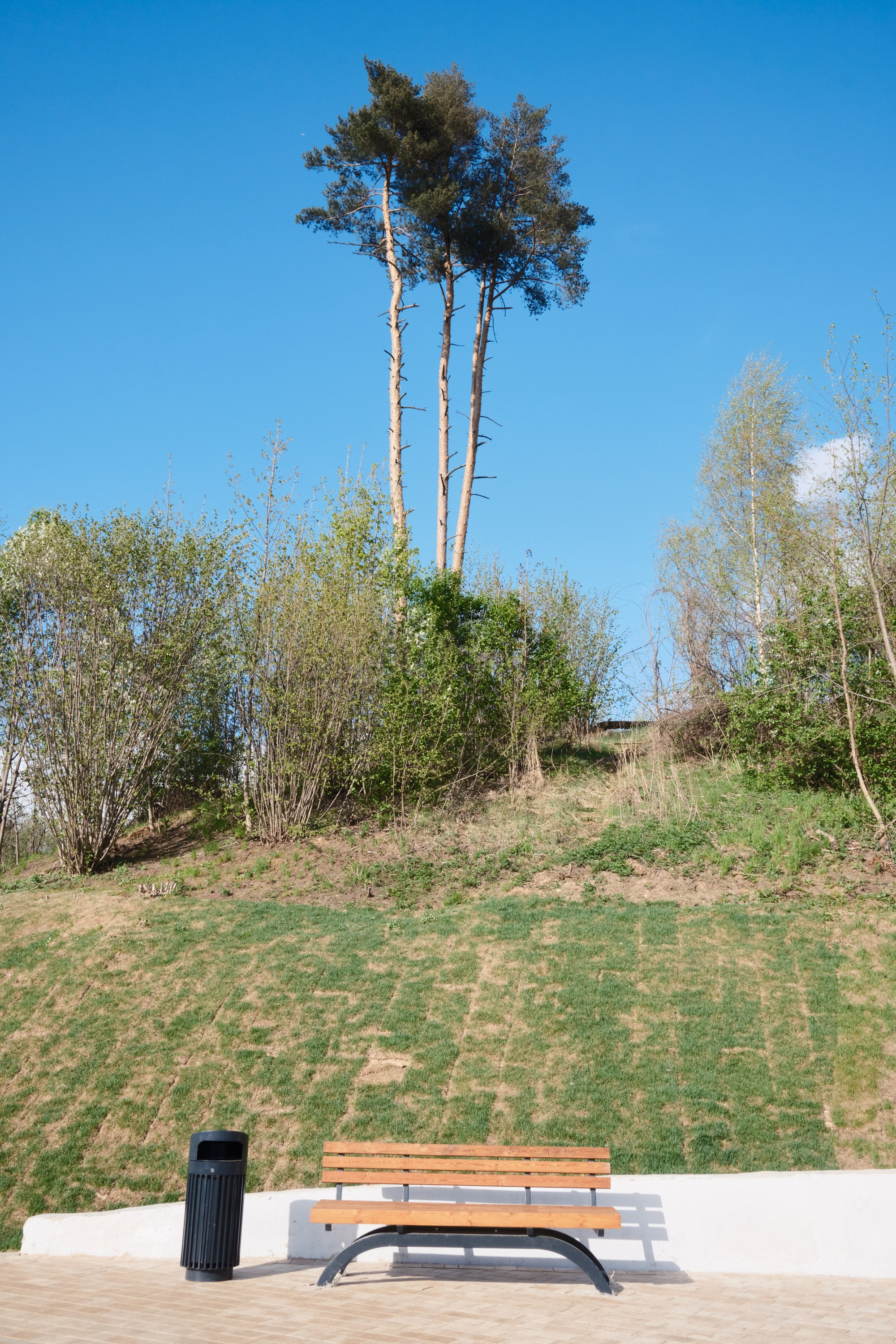 Парк Синичка | Красногорск. Фотографъ Сергѣевъ. Поймать мгновеніе