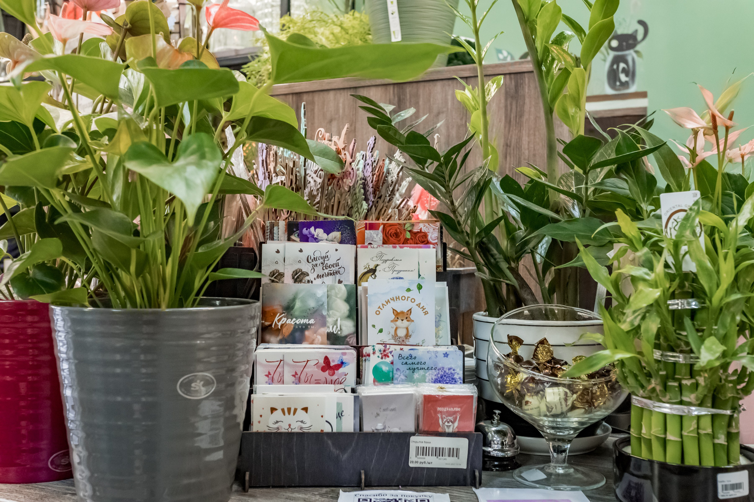 Цветочный магазин Any Flowers. Интерьеры, Контент, Портреты | Фотограф в Москве Дани Терно