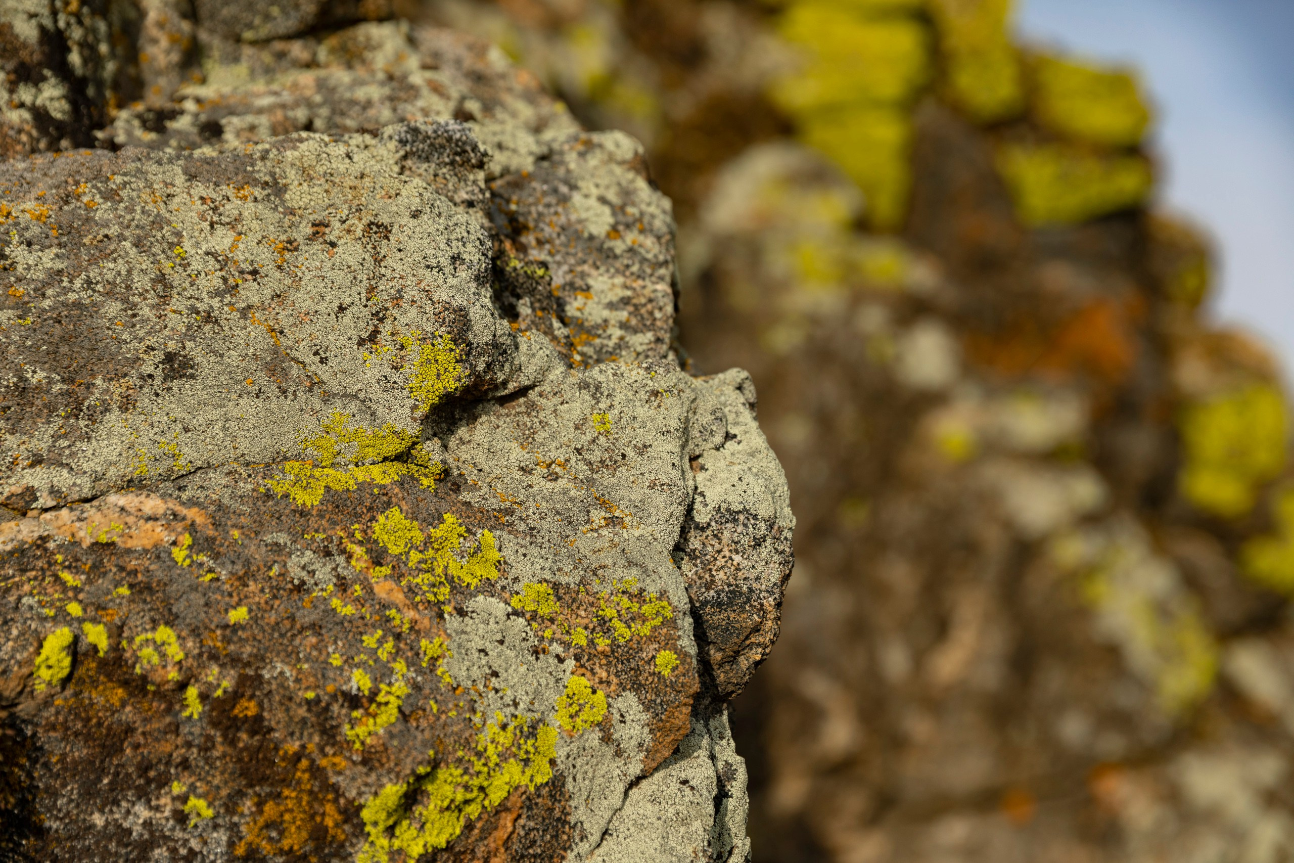 Ольхон в октябре. Марина Захарова — Фотограф. Москва / Marina Zakharova — Photographer