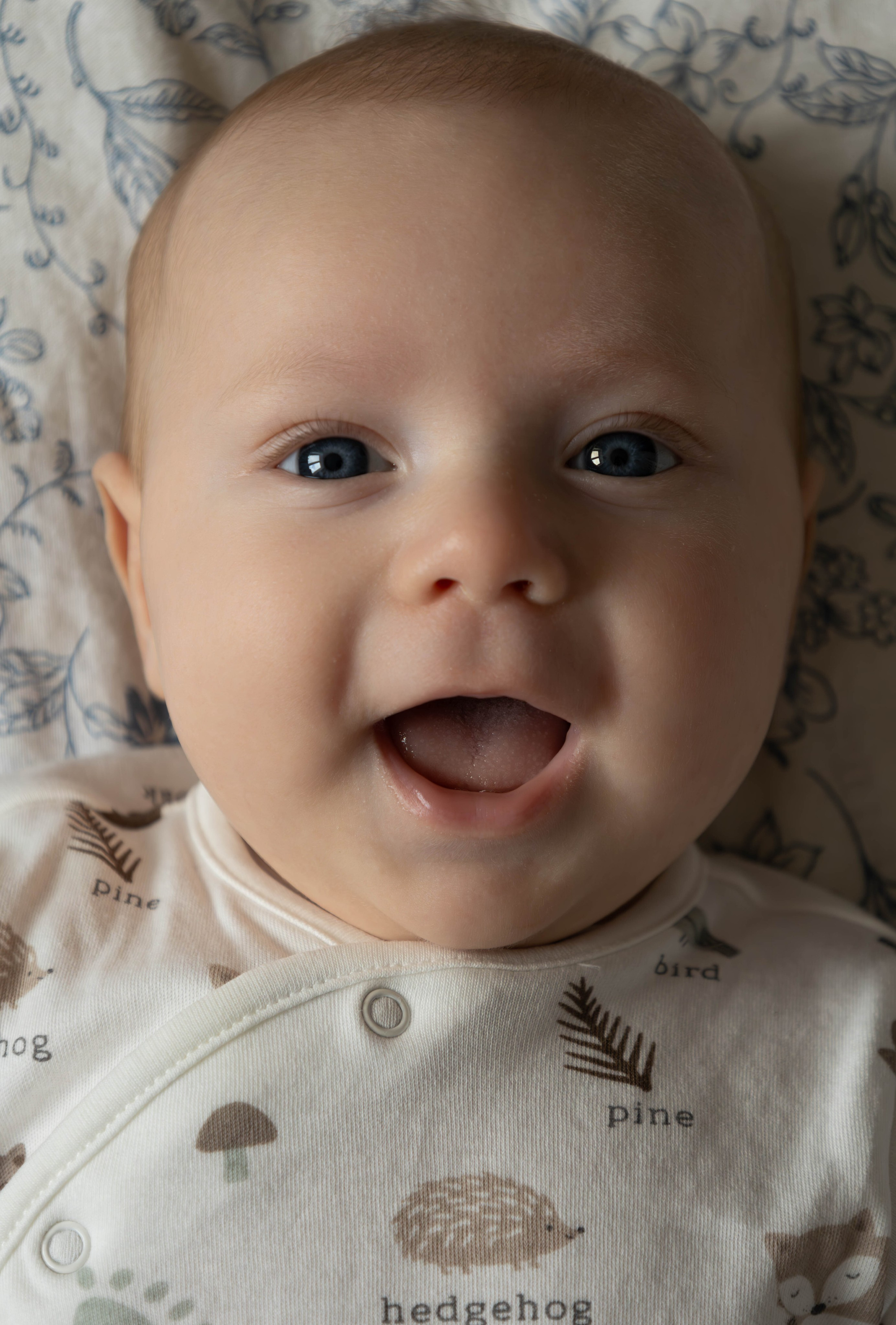 Фотосессия новорожденных и деток до года