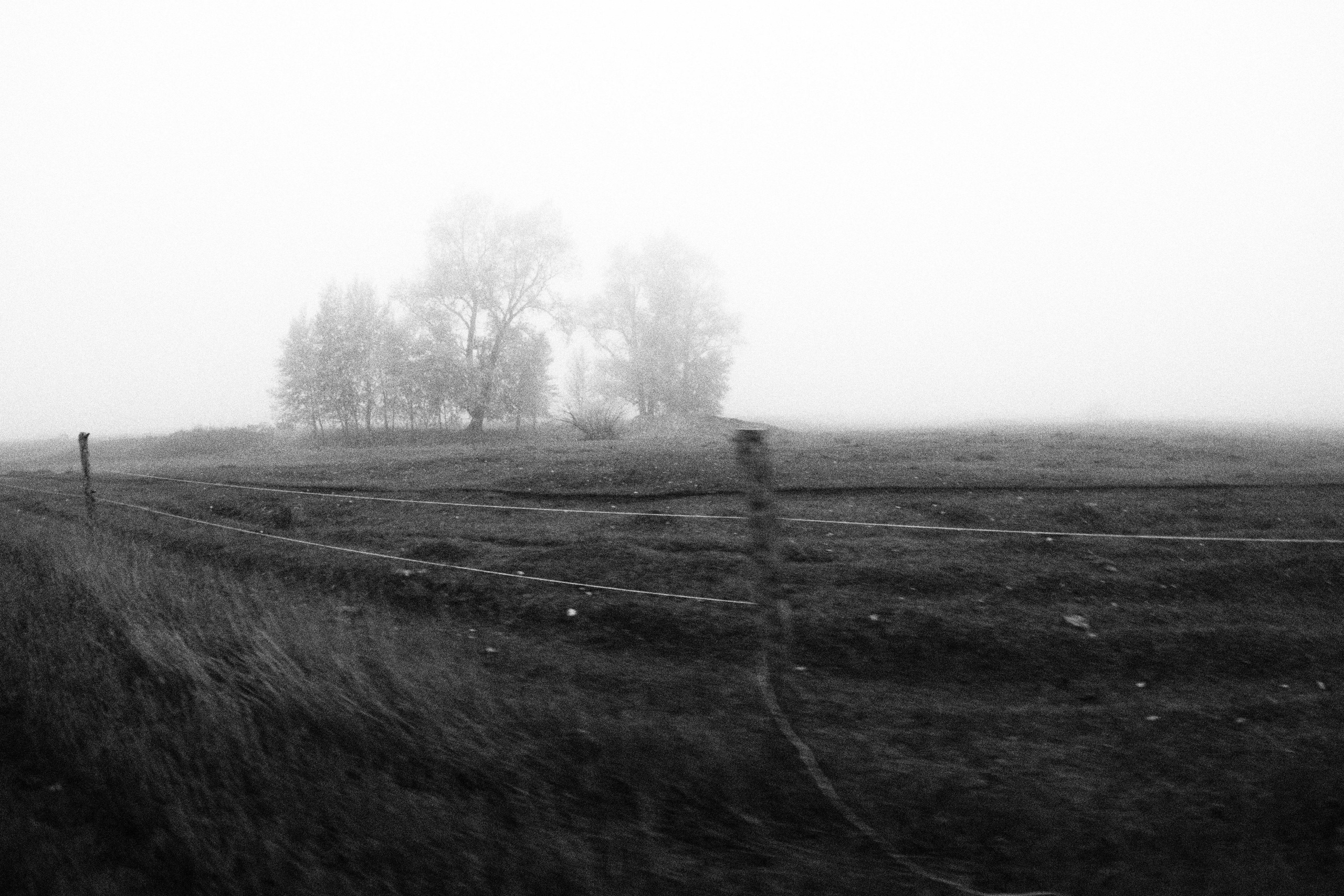 Промежуточные моменты (2023)