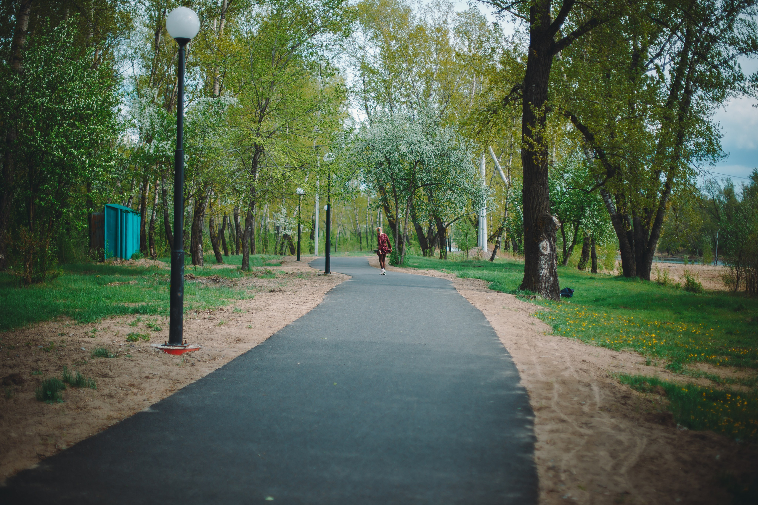 Яблони. Фотограф в Абакане Николай Окунев