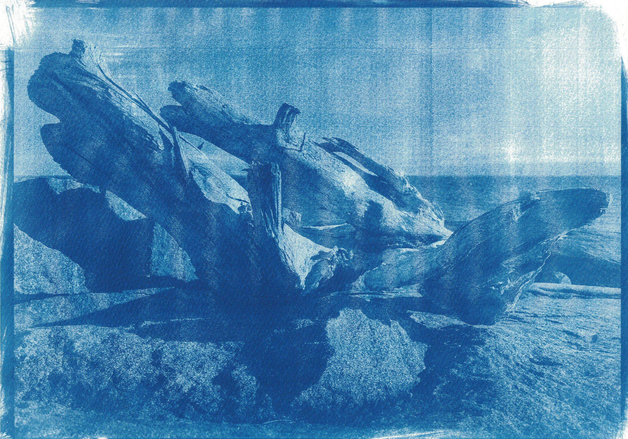 Шергина Валерия (Северодвинск). Молодая Фотография