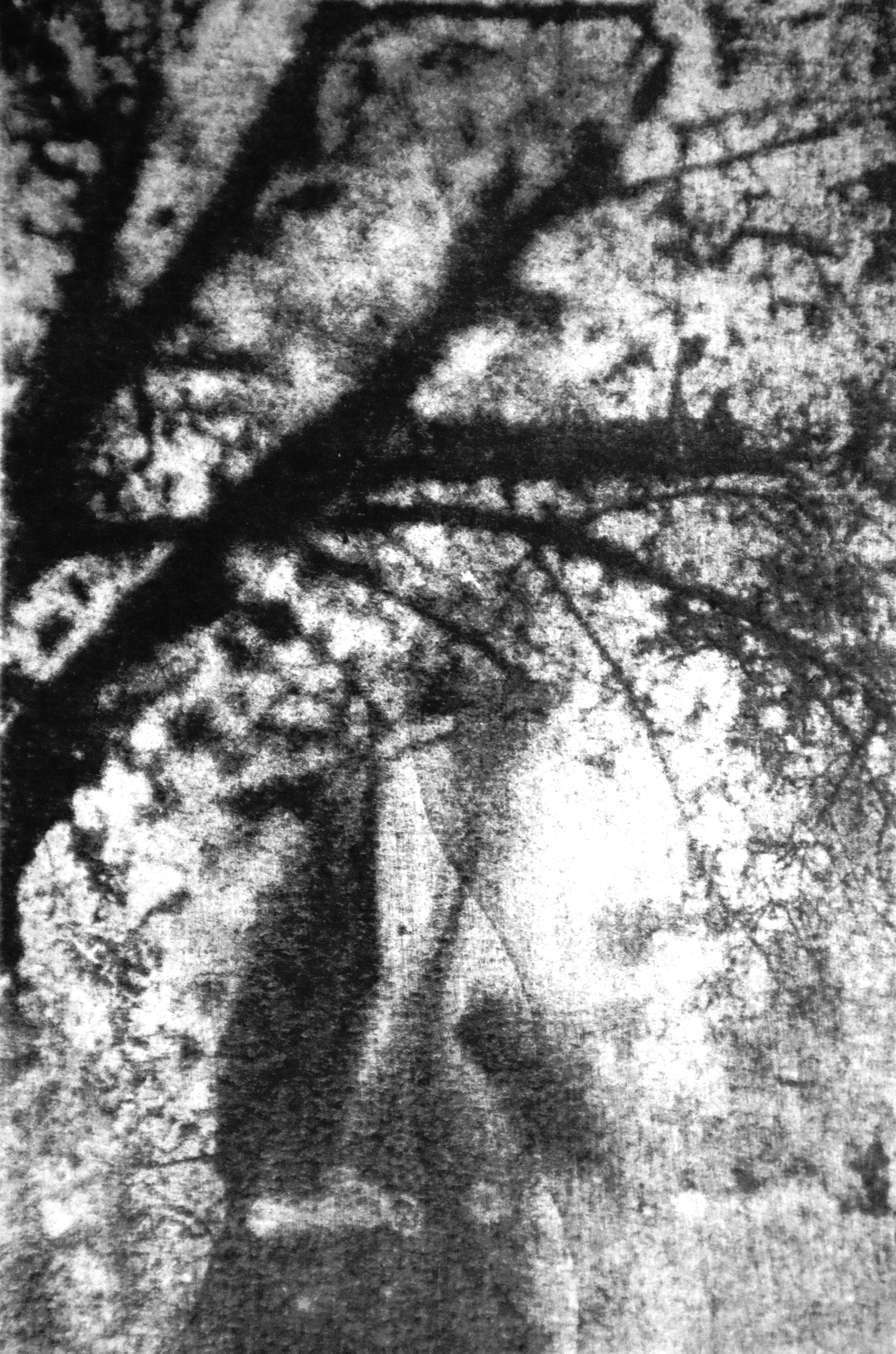 Ларина Валерия (Грязи). Молодая Фотография