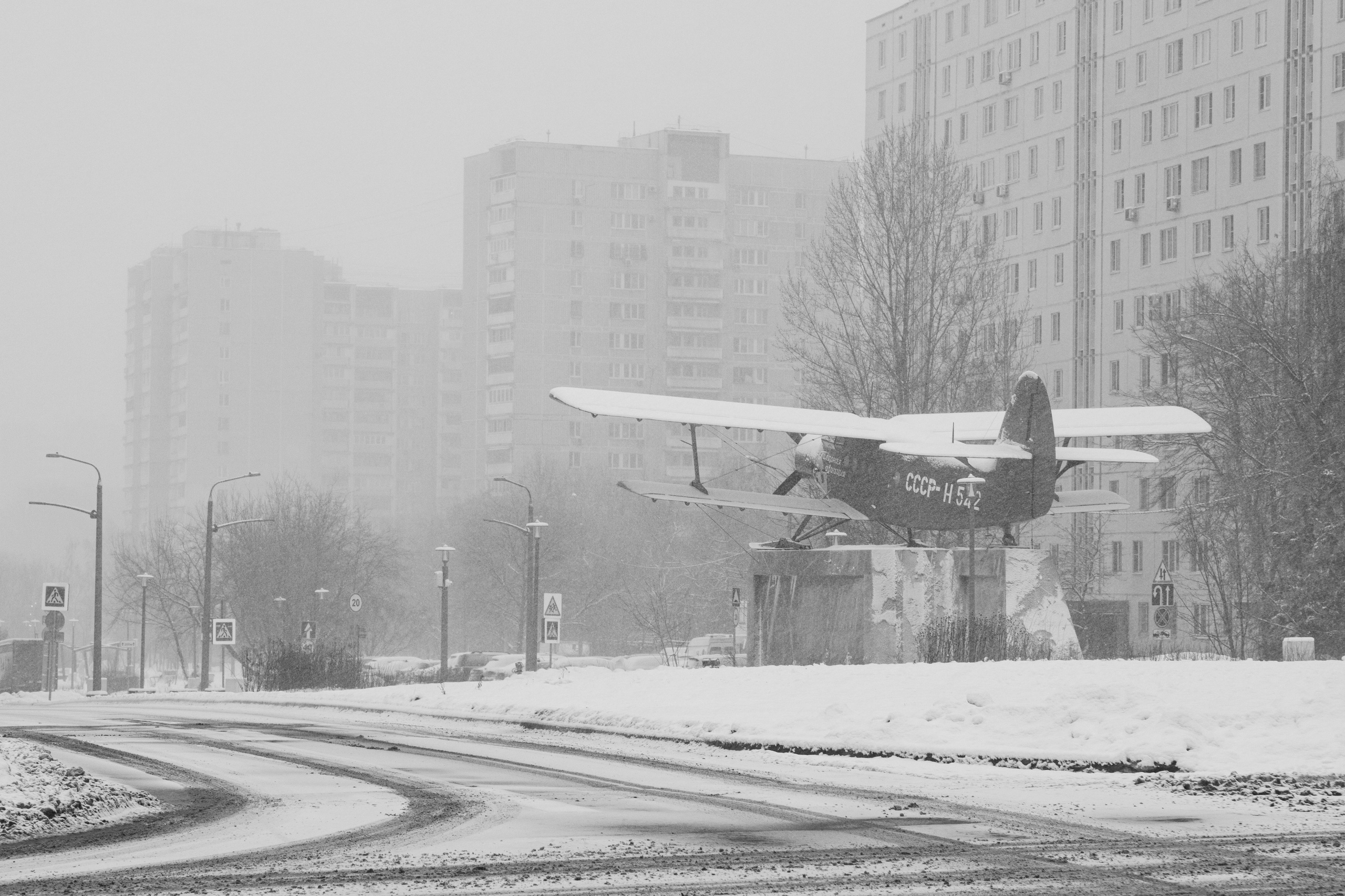 Костин Максим (Москва). Молодая Фотография