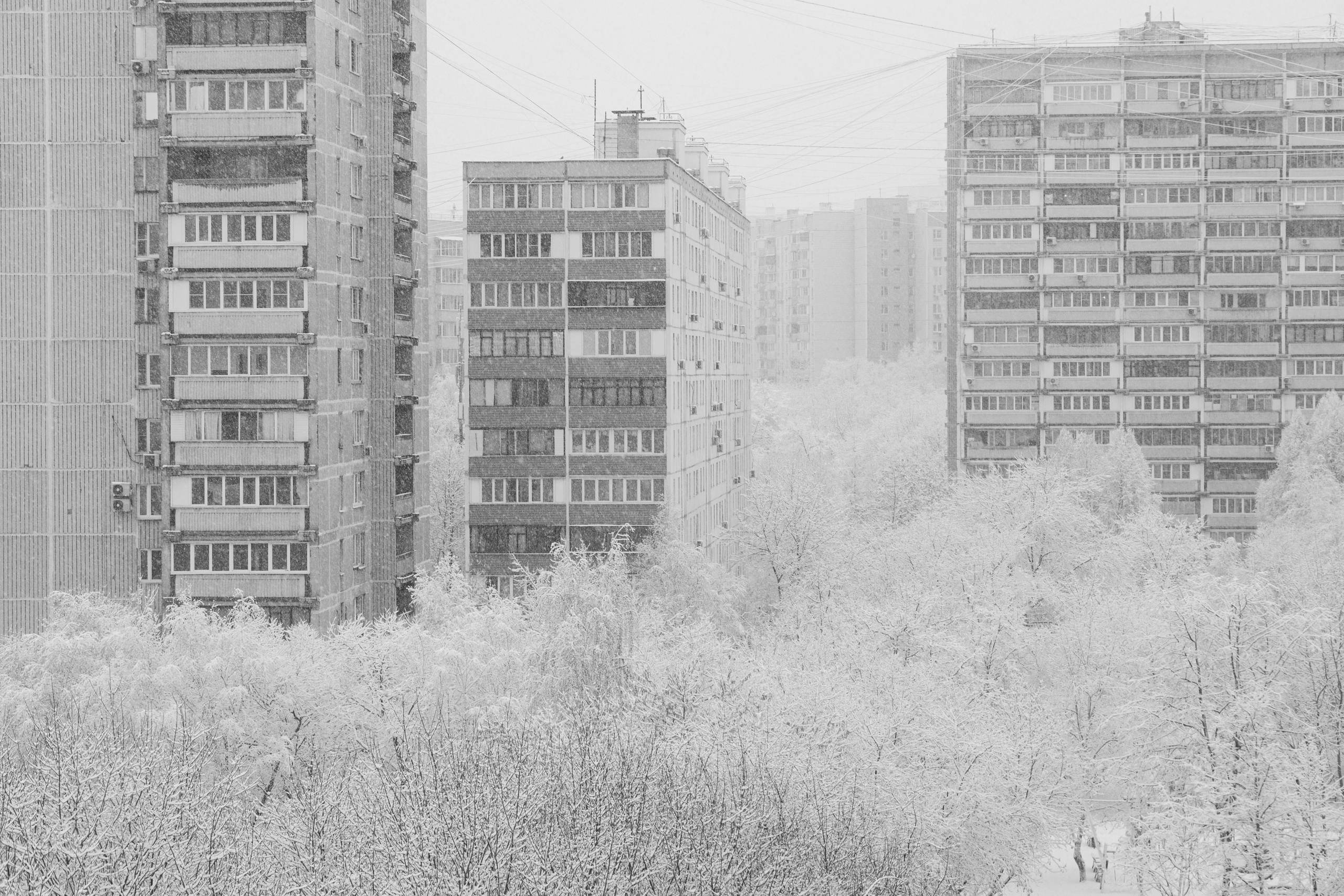 Костин Максим (Москва). Молодая Фотография